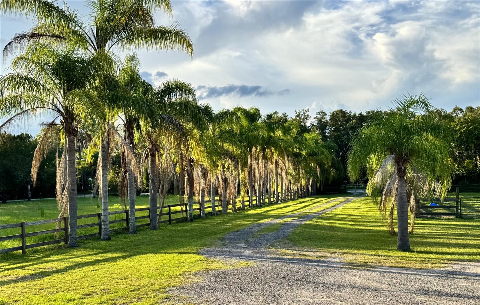 Image 2 of 48 For 1395 Palm Way