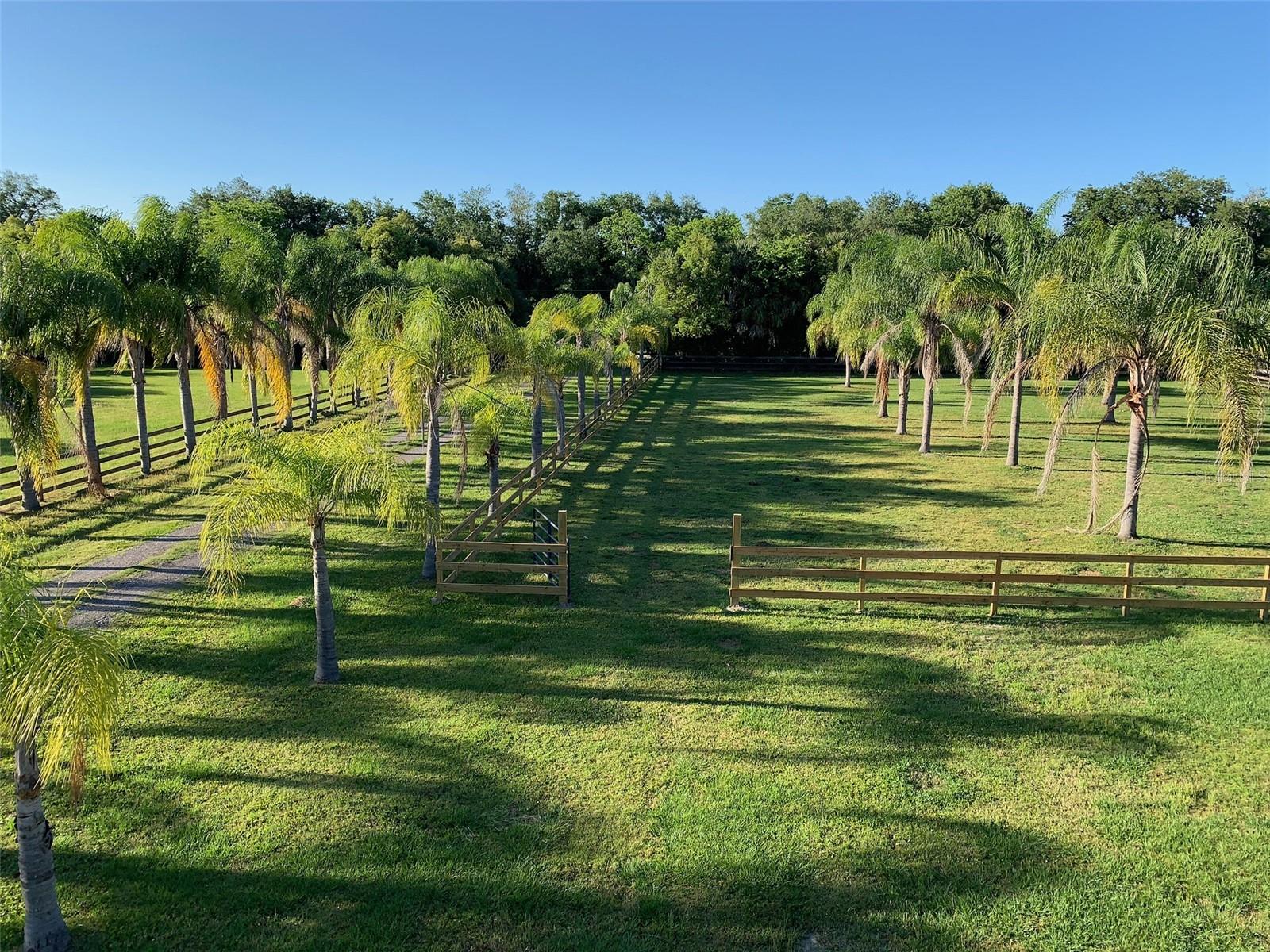 Image 3 of 48 For 1395 Palm Way