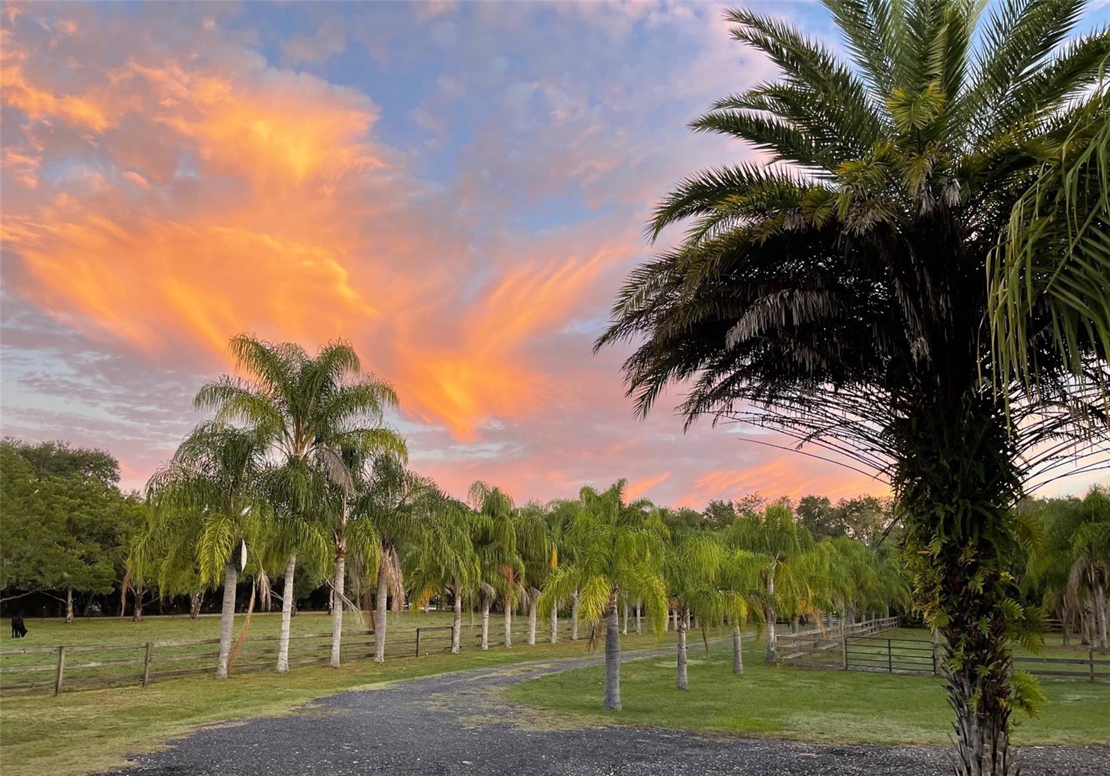 Image 39 of 48 For 1395 Palm Way