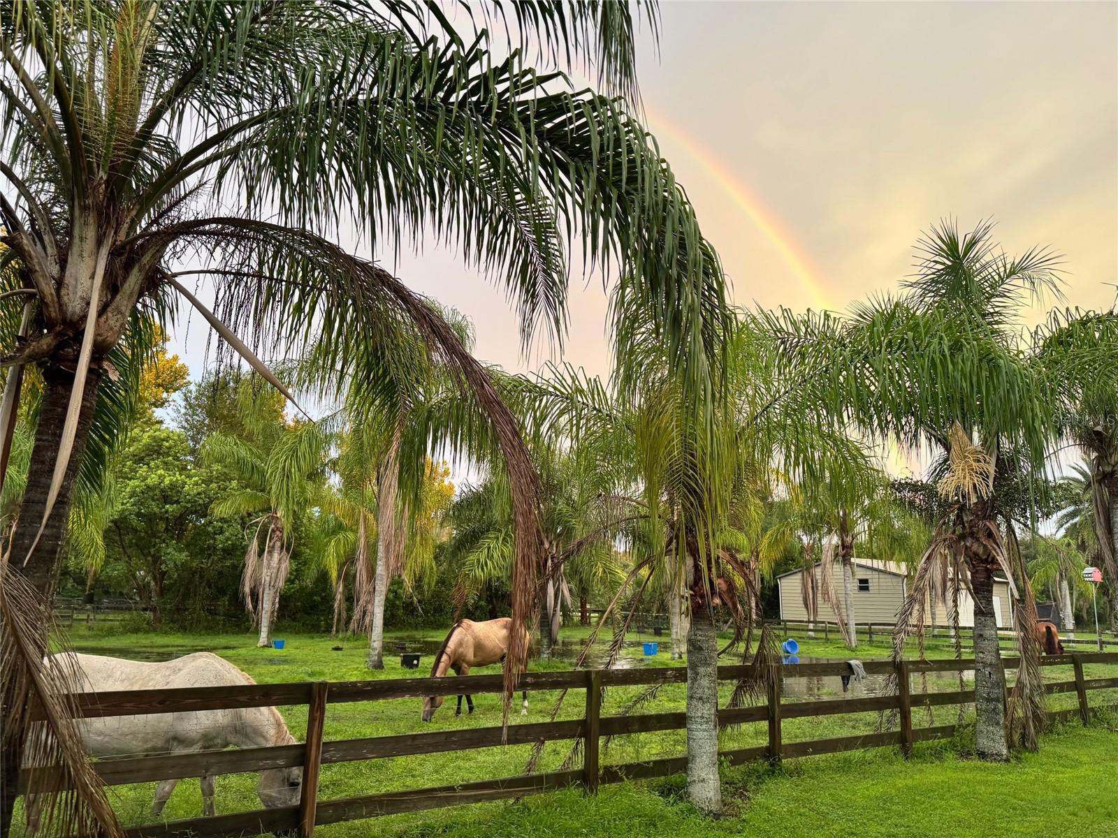 Image 4 of 48 For 1395 Palm Way