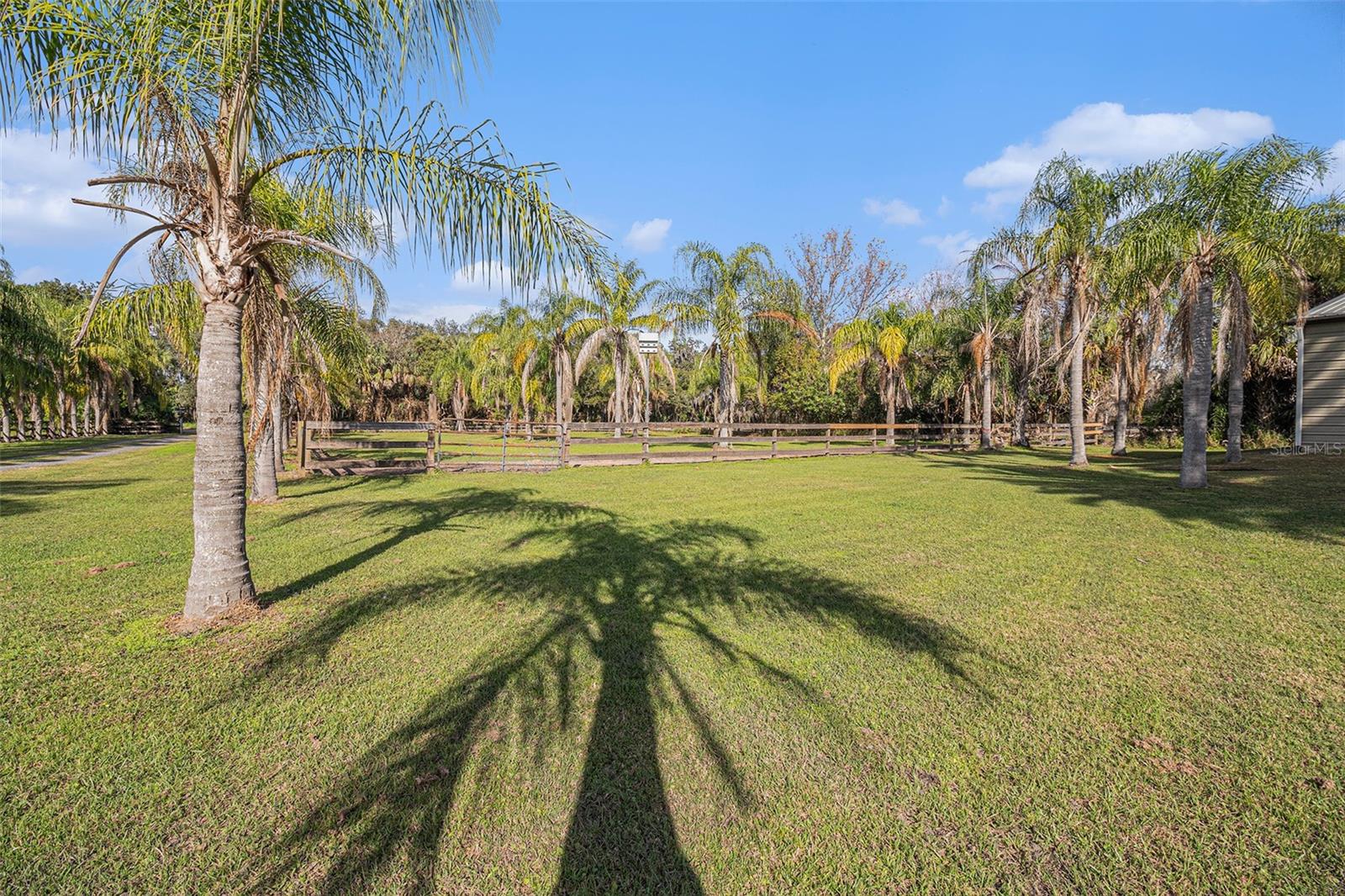 Image 41 of 48 For 1395 Palm Way