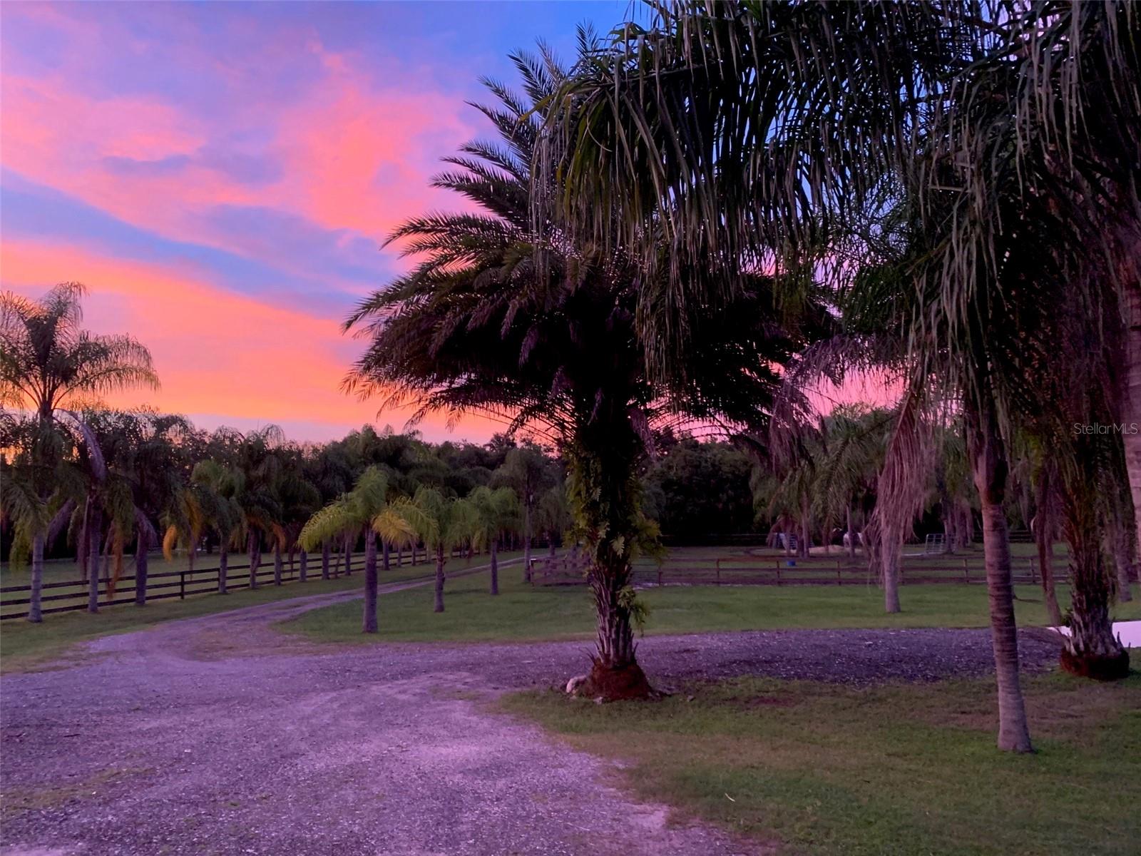 Image 42 of 48 For 1395 Palm Way