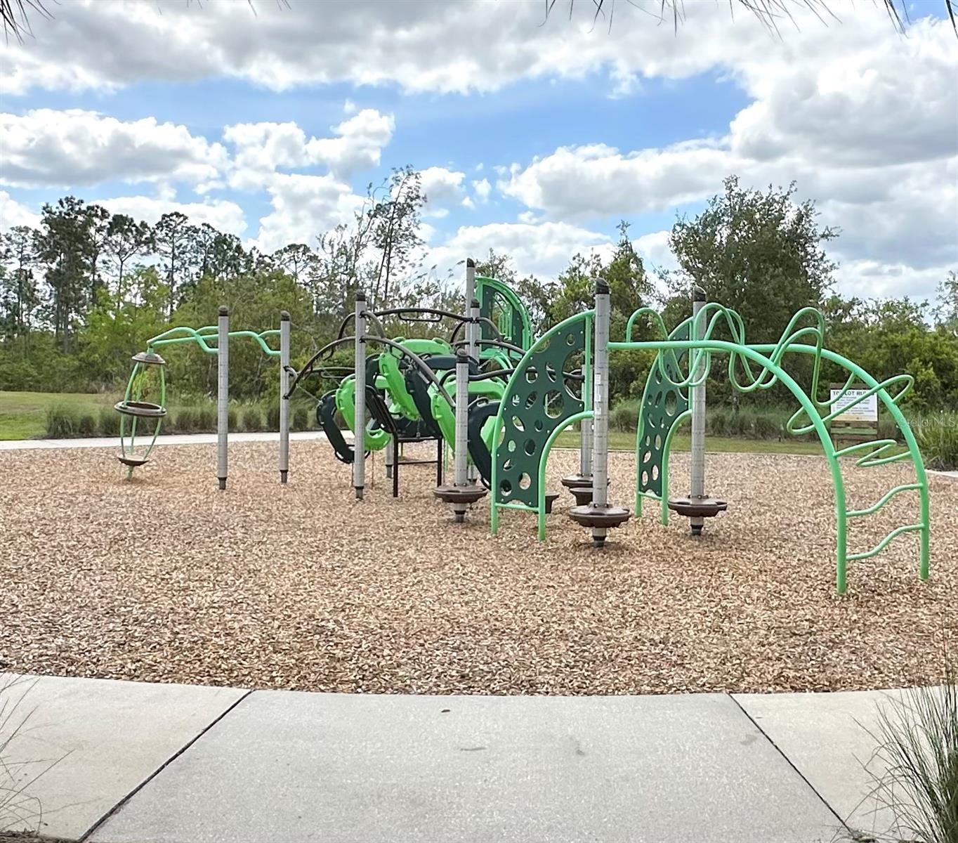 Image 61 of 62 For 17691 Passionflower Circle