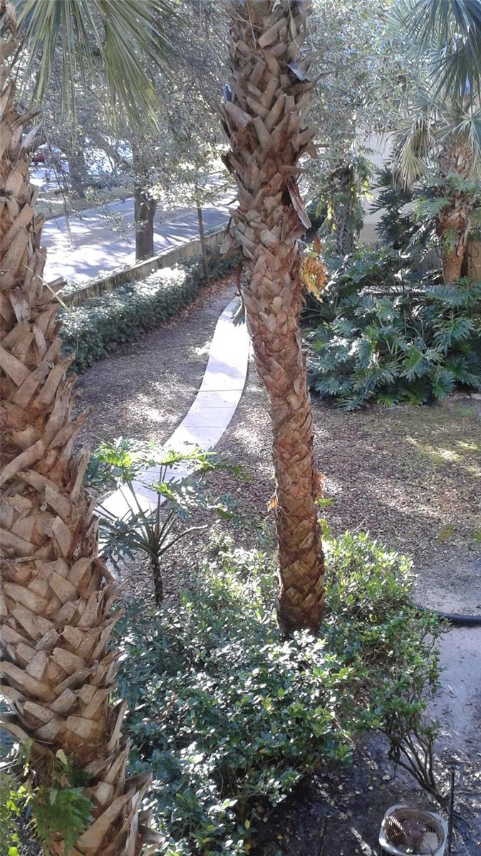 Image 9 of 26 For 829 Camargo Way 203