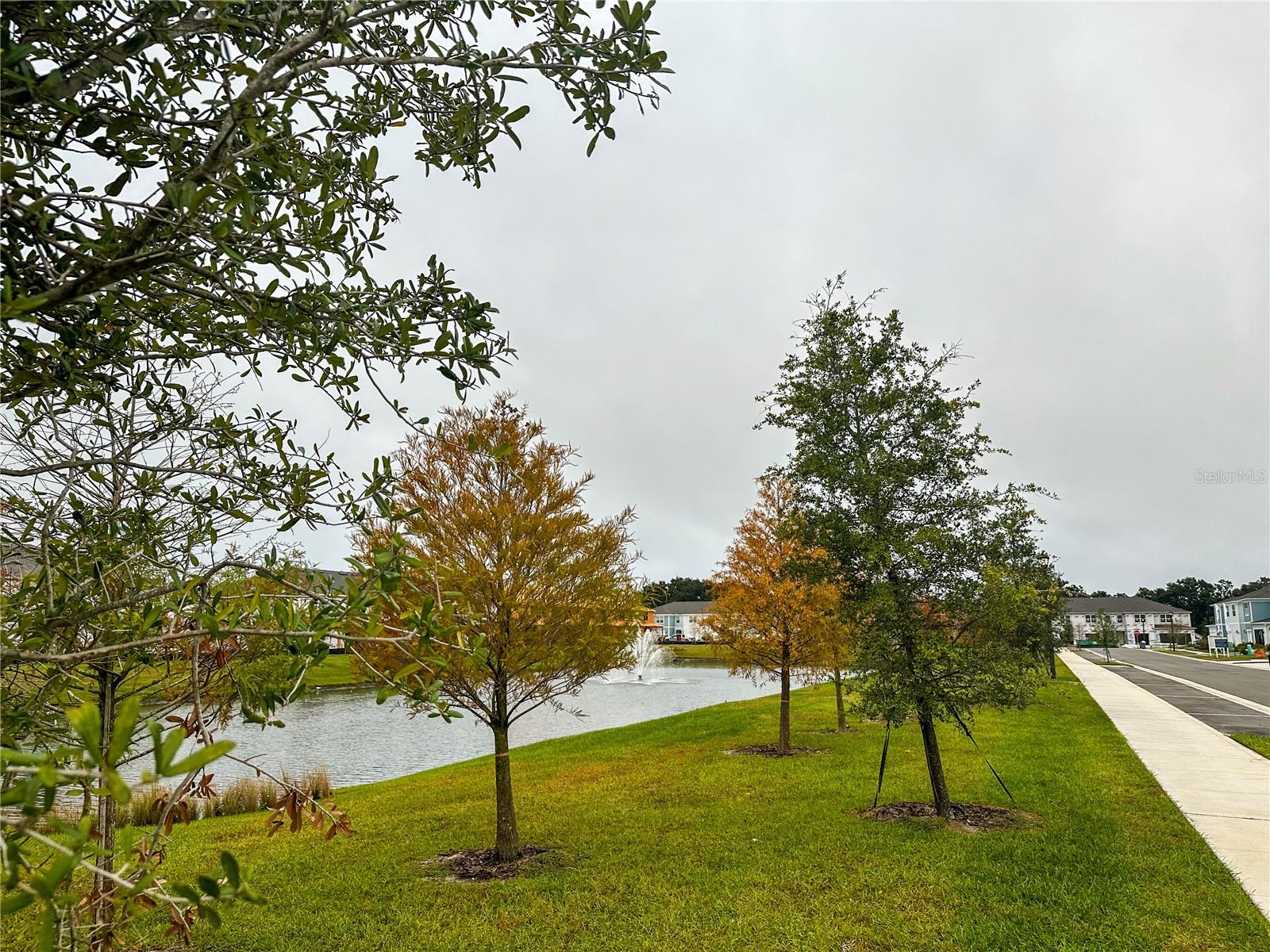 Image 27 of 27 For 1973 Canny Cove