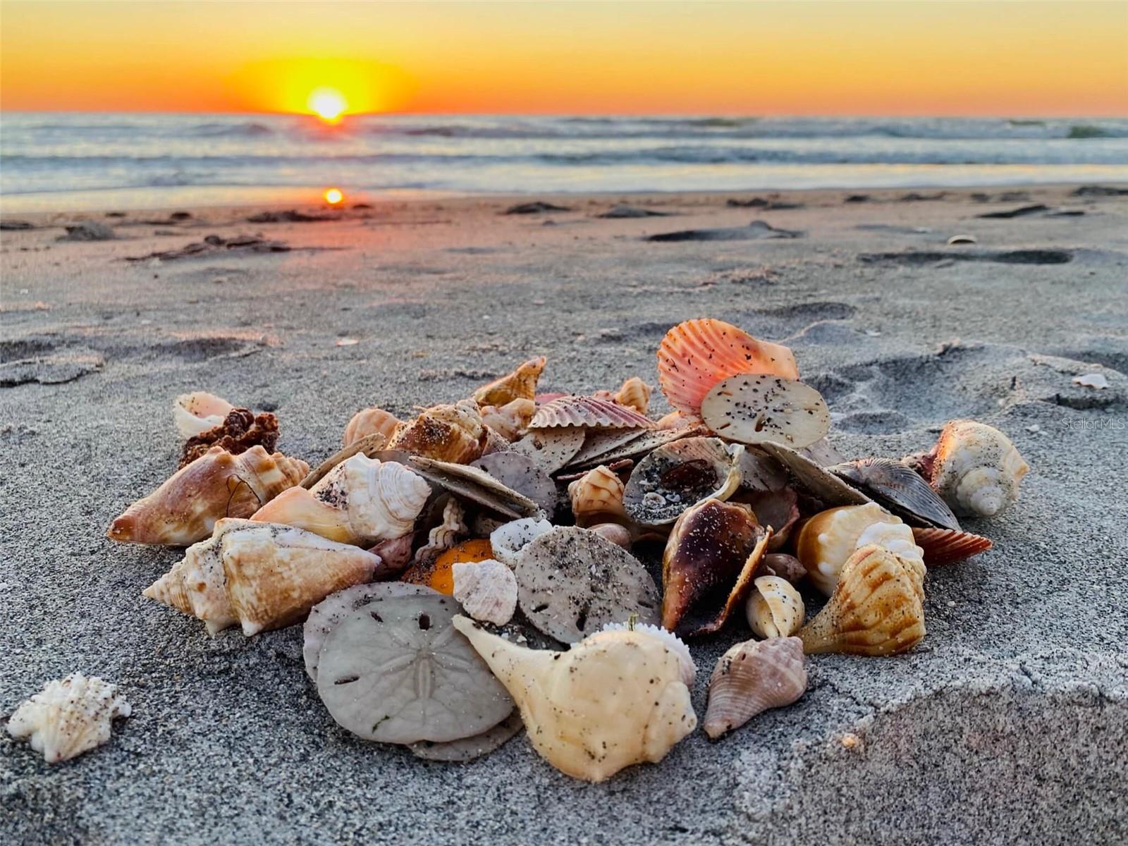 Image 39 of 43 For 500 The Esplanade N 405