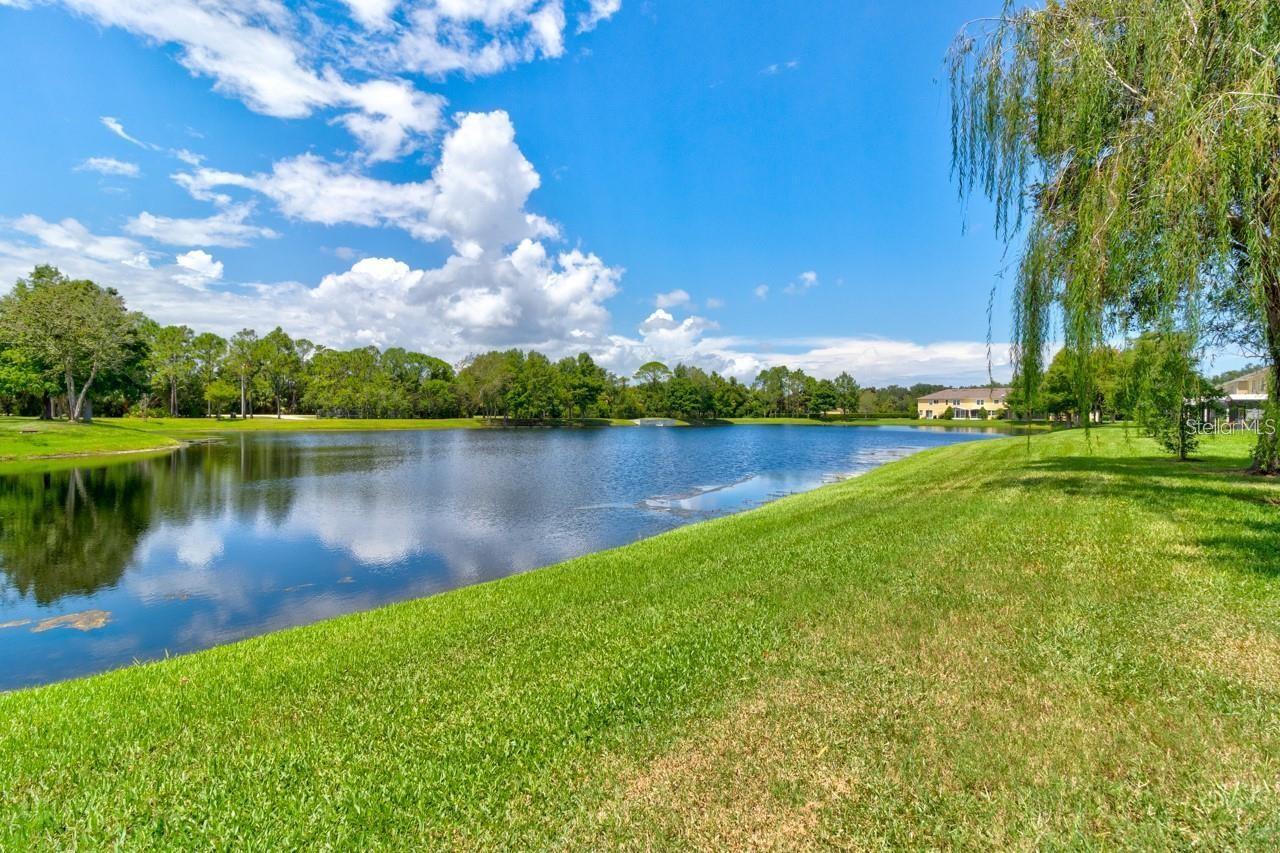 Image 14 of 17 For 602 Mount Olympus Boulevard