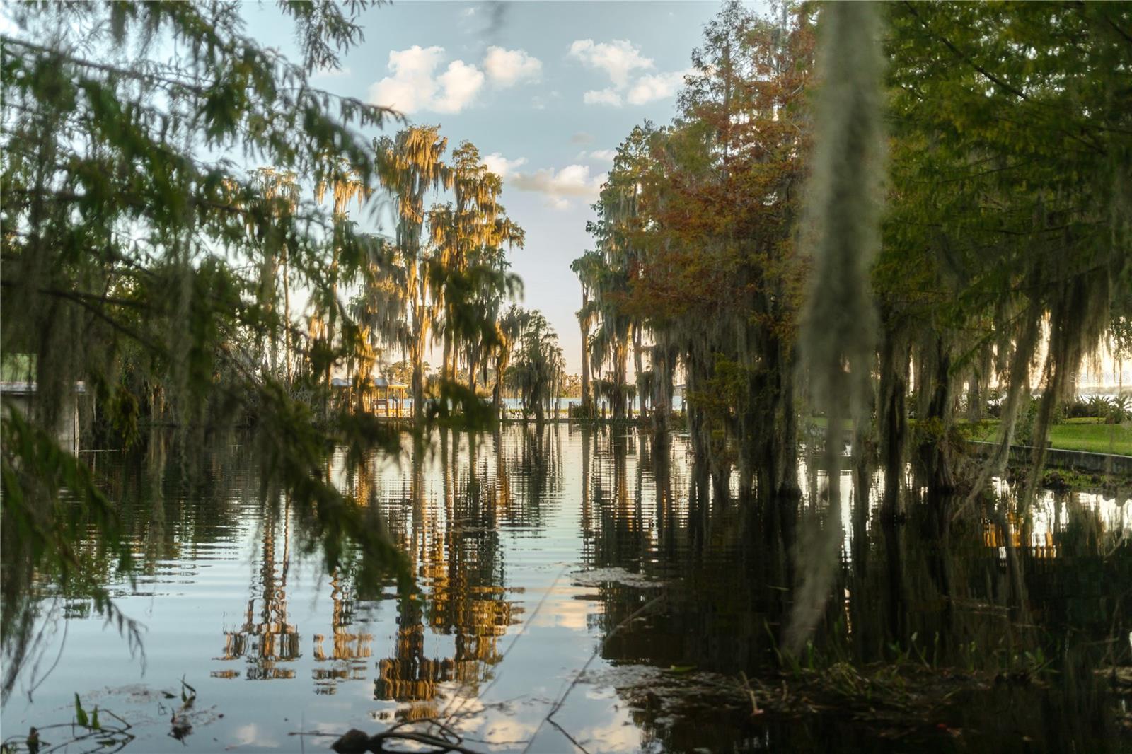 Image 73 of 82 For 713 Main Street