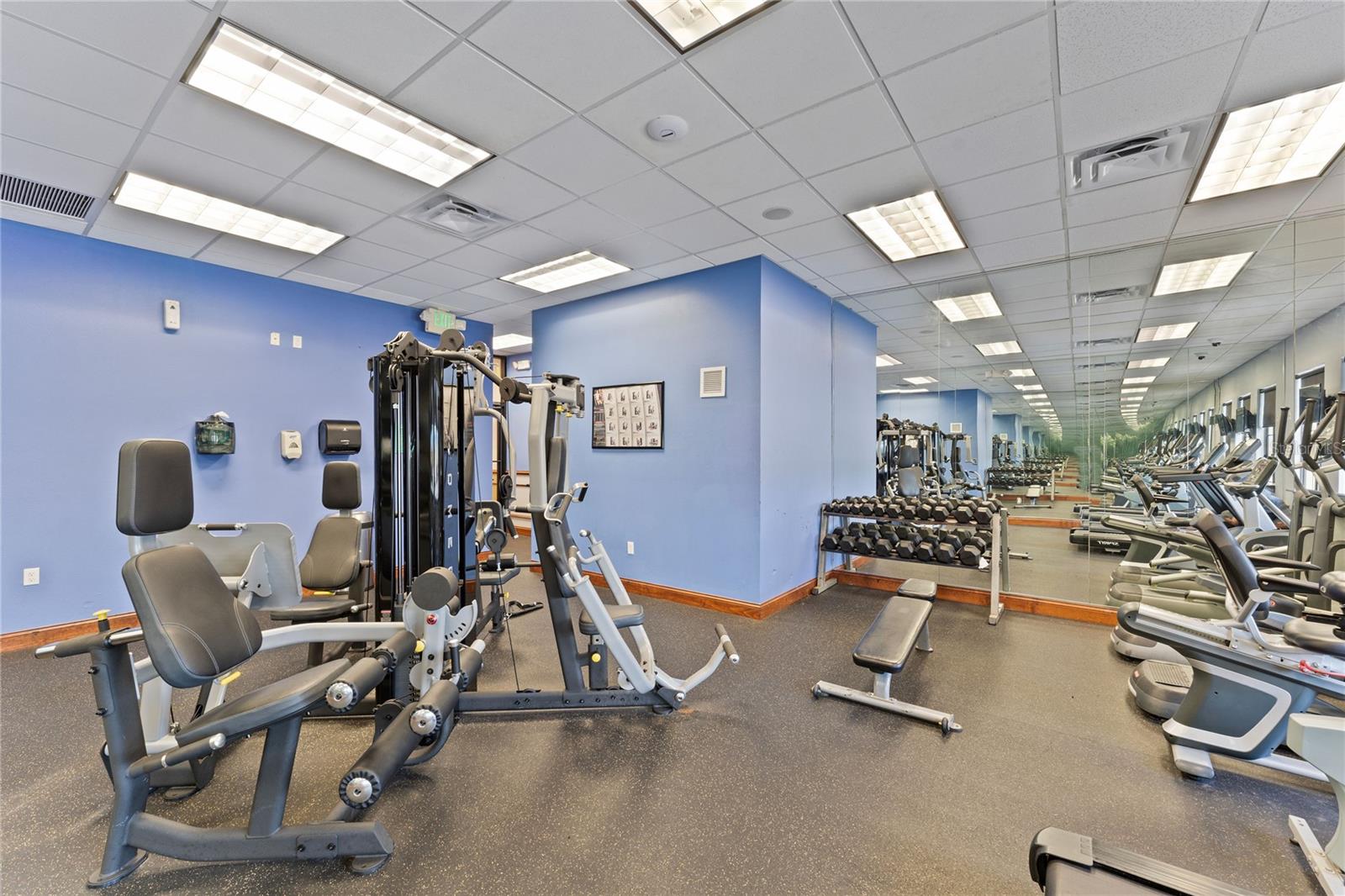 Image 39 of 43 For 8900 Candy Palm Road