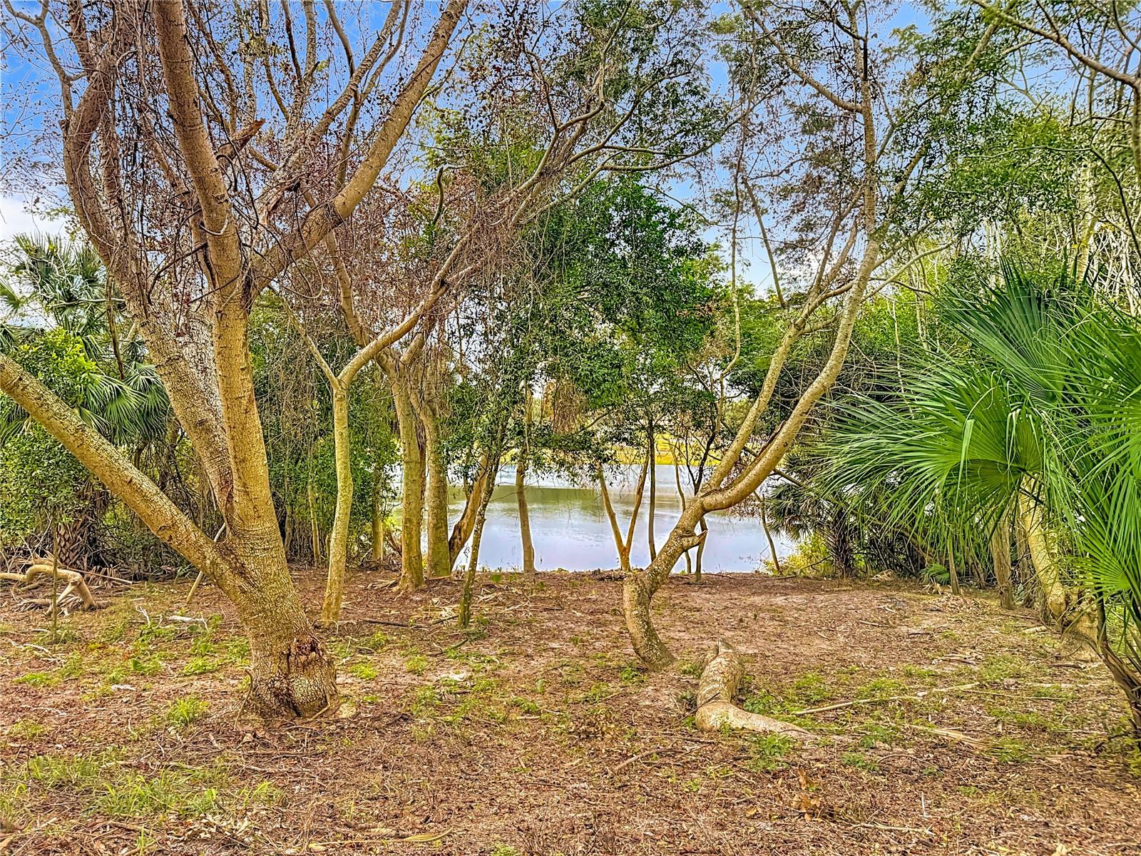 Image 52 of 62 For 697 Winding Lake Drive