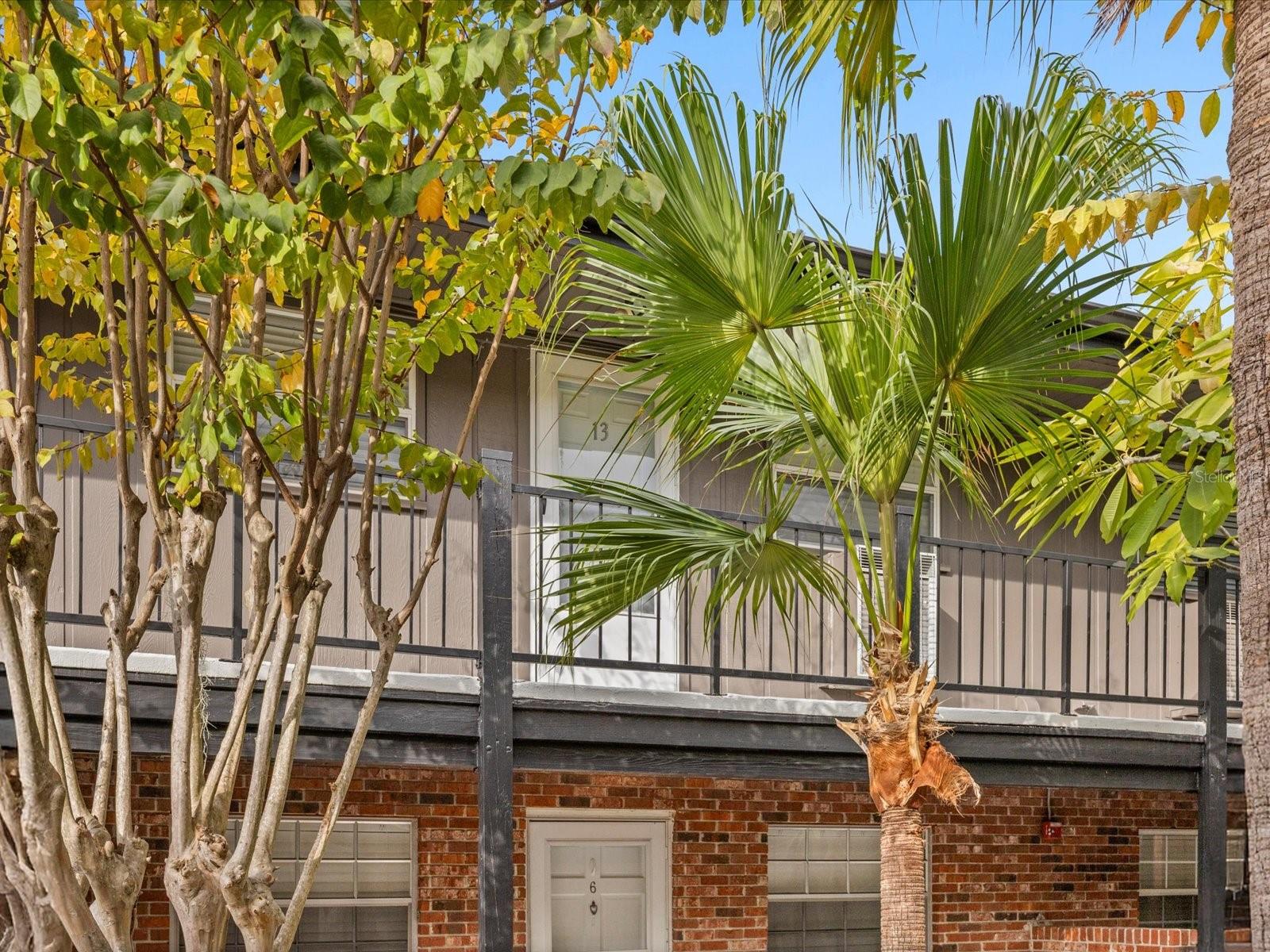 Image 23 of 24 For 851 Miles Avenue 13