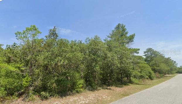 Details for Lot 11 Persimmon Street, EUSTIS, FL 32736