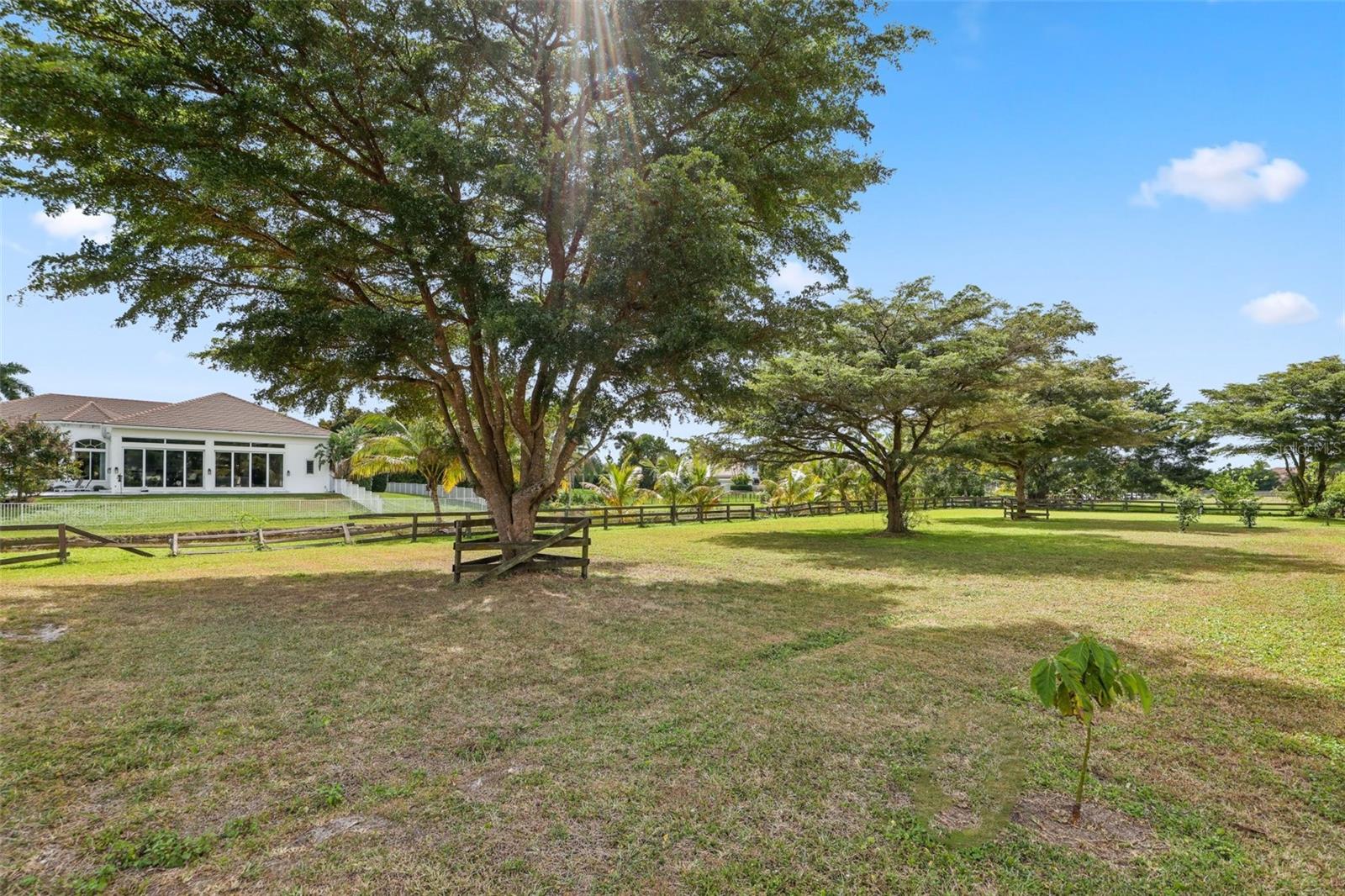 Image 53 of 97 For 10630 El Caballo Court