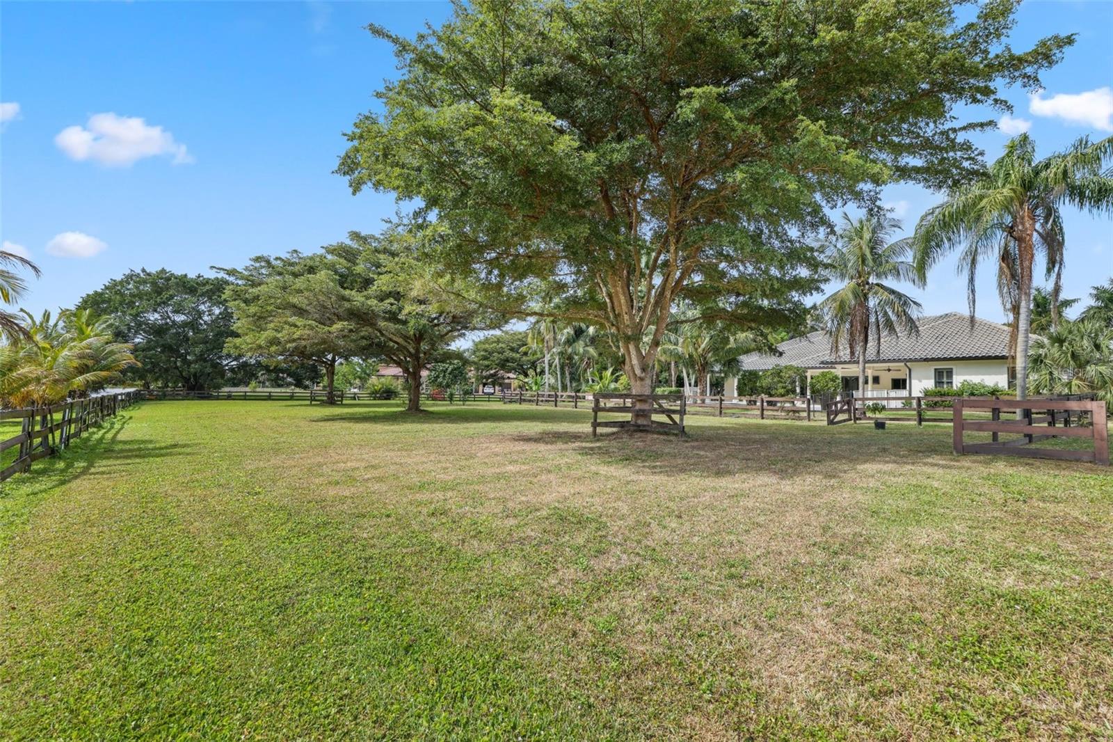 Image 55 of 97 For 10630 El Caballo Court