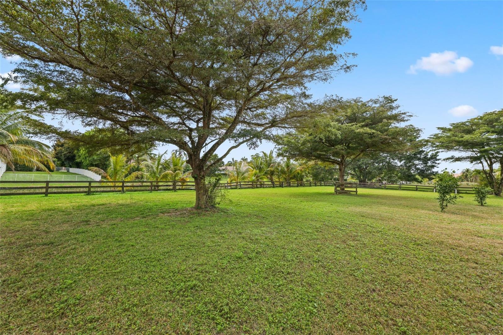 Image 58 of 97 For 10630 El Caballo Court