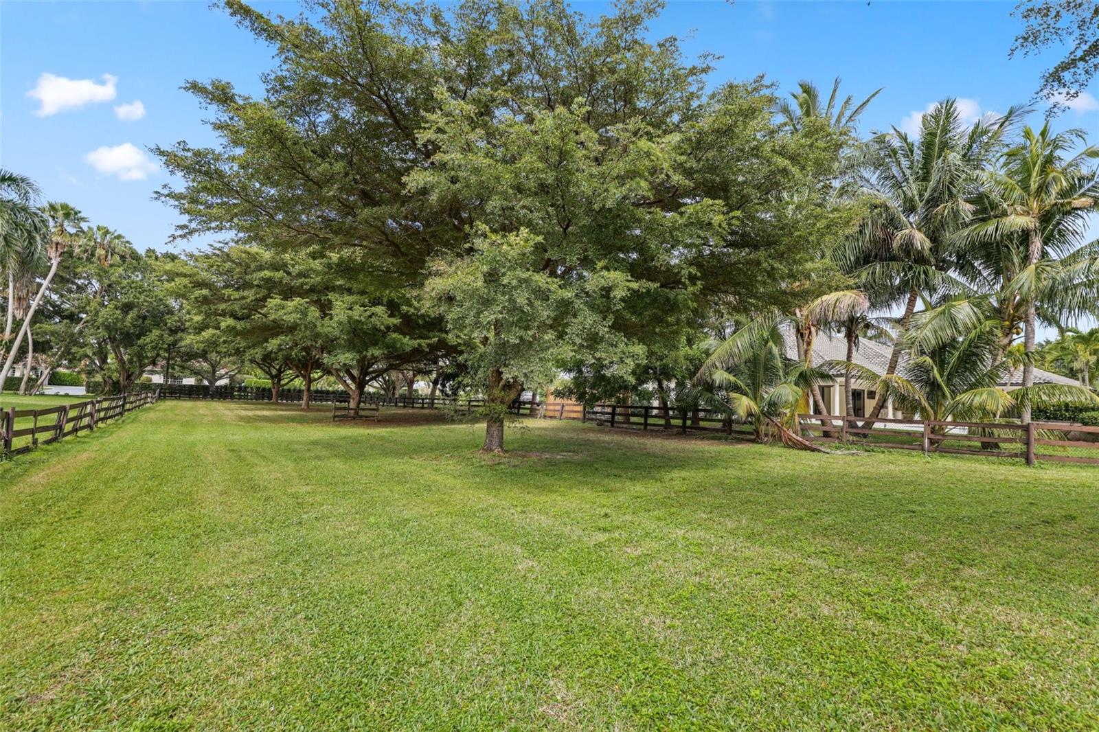 Image 62 of 97 For 10630 El Caballo Court