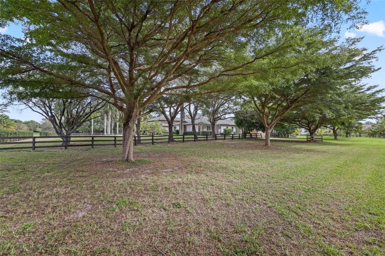 Image 63 of 97 For 10630 El Caballo Court