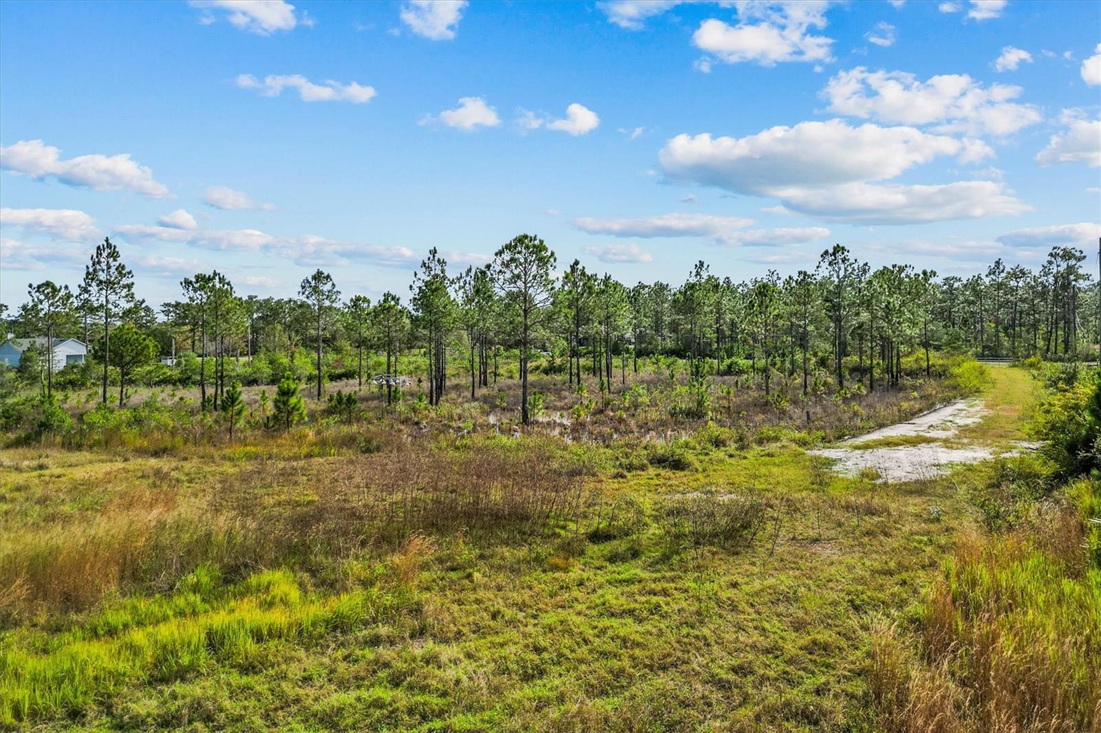 Image 4 of 8 For Lot #141 Sabal Street