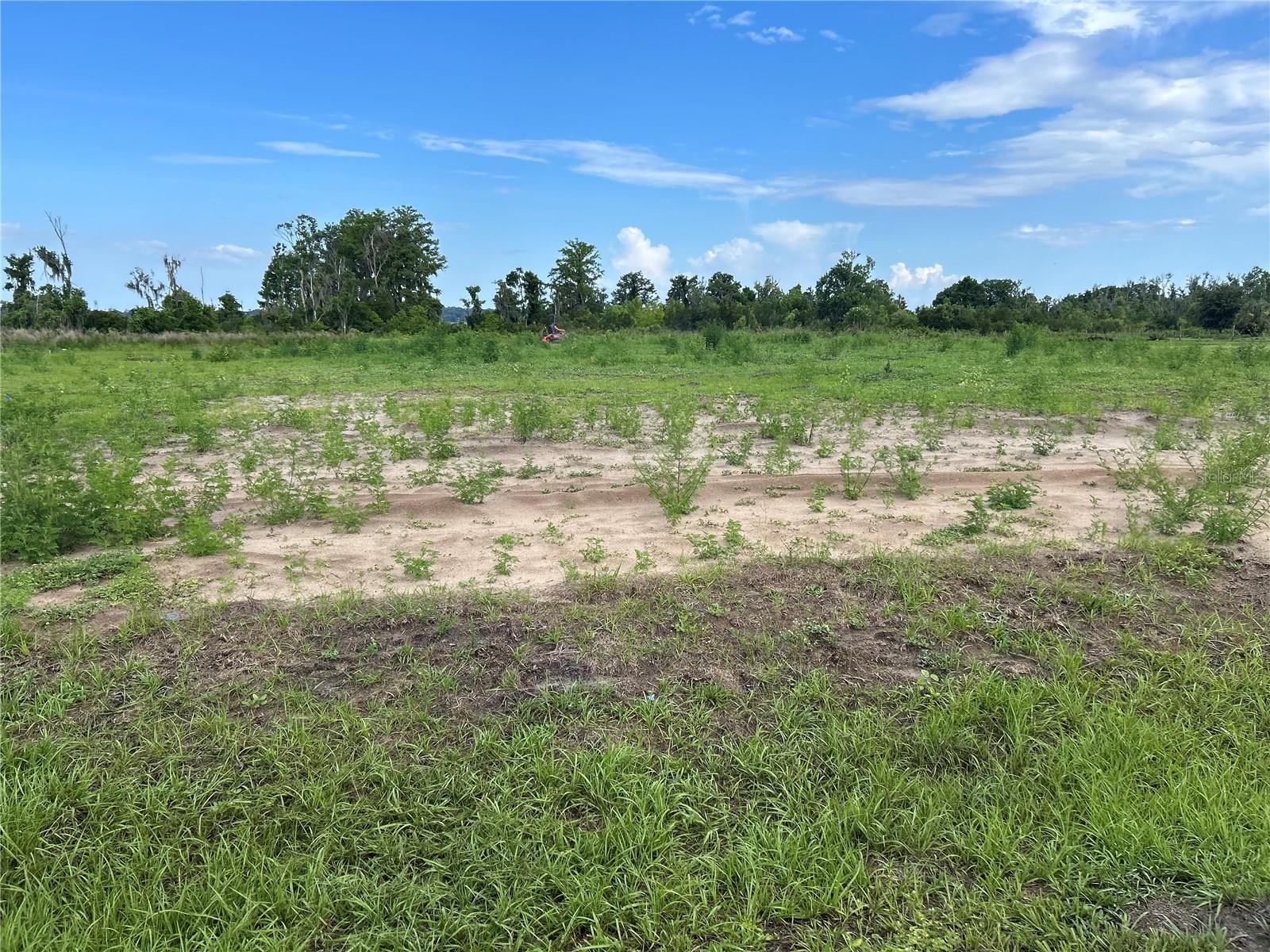 Listing Details for 12942 Stillwater Cove Drive, ASTATULA, FL 34705