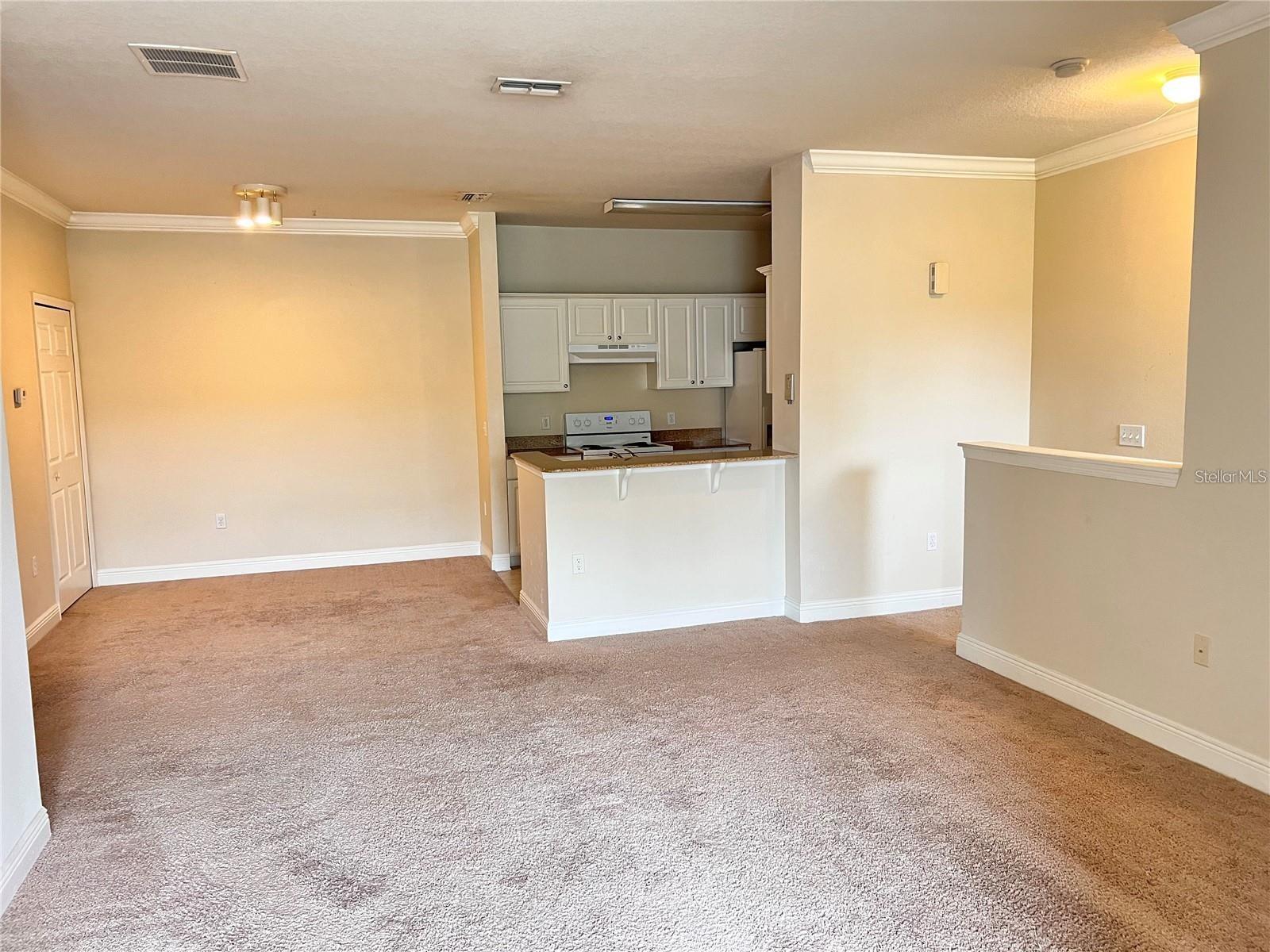 Image 4 of 13 For 304 Southern Pecan Circle 203