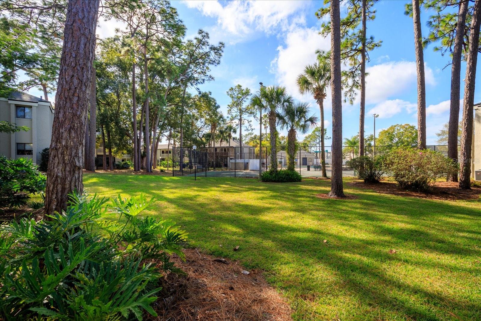 Image 25 of 27 For 156 Springwood Circle A