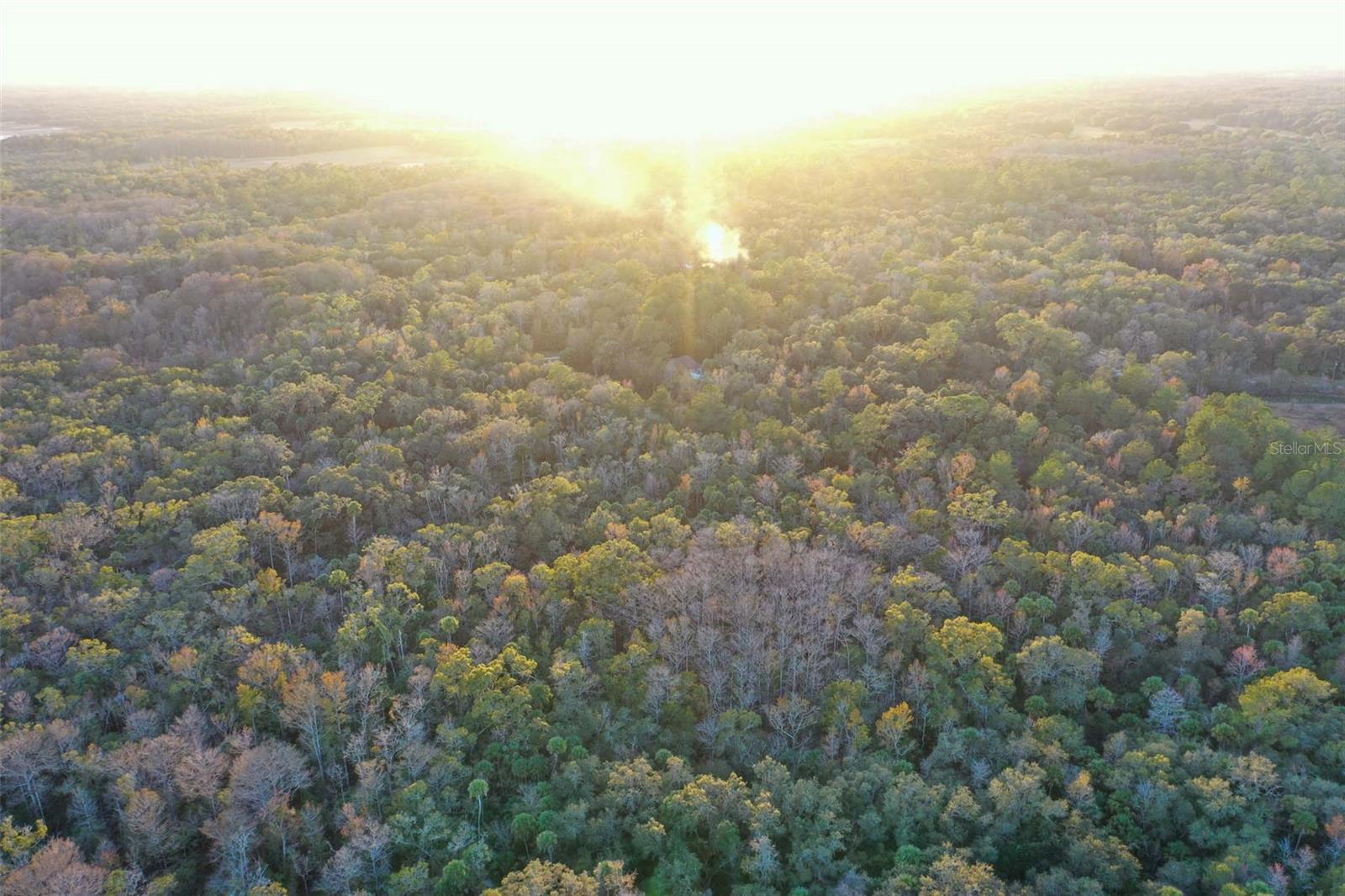 Image 11 of 24 For Address Not Provided