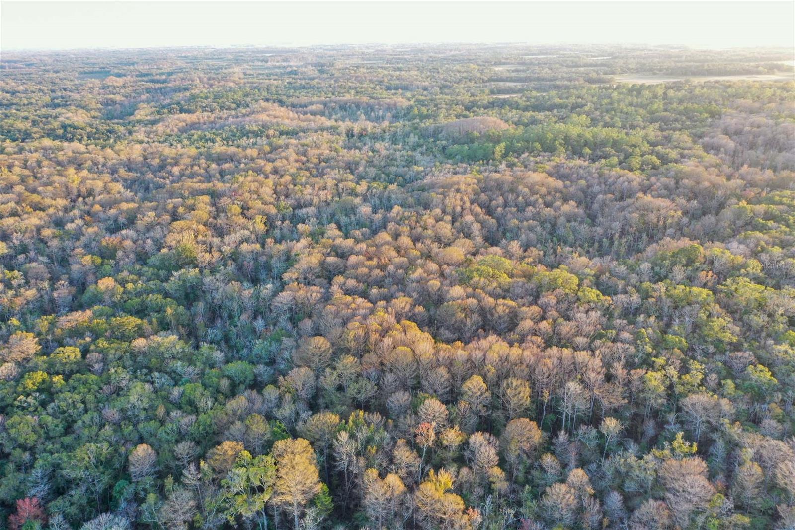 Image 12 of 24 For Address Not Provided