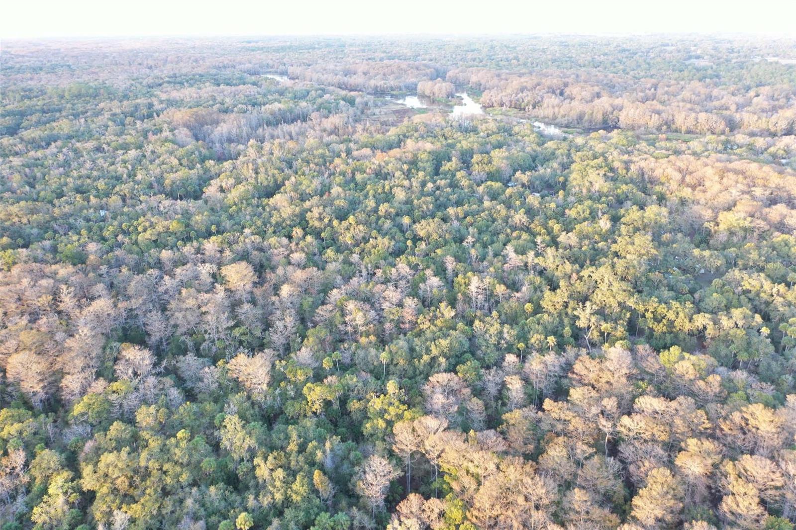 Image 16 of 24 For Address Not Provided