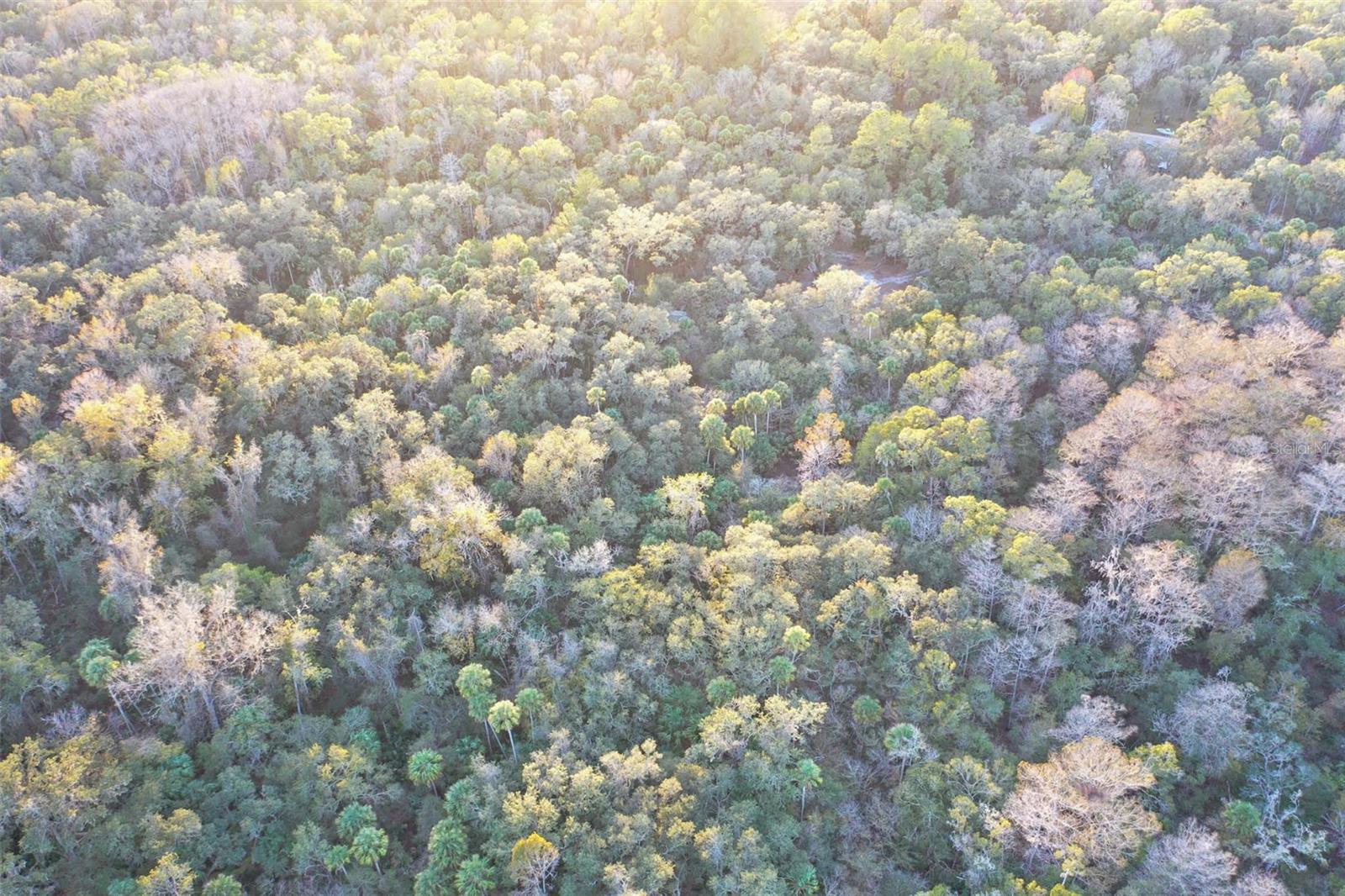 Image 18 of 24 For Address Not Provided