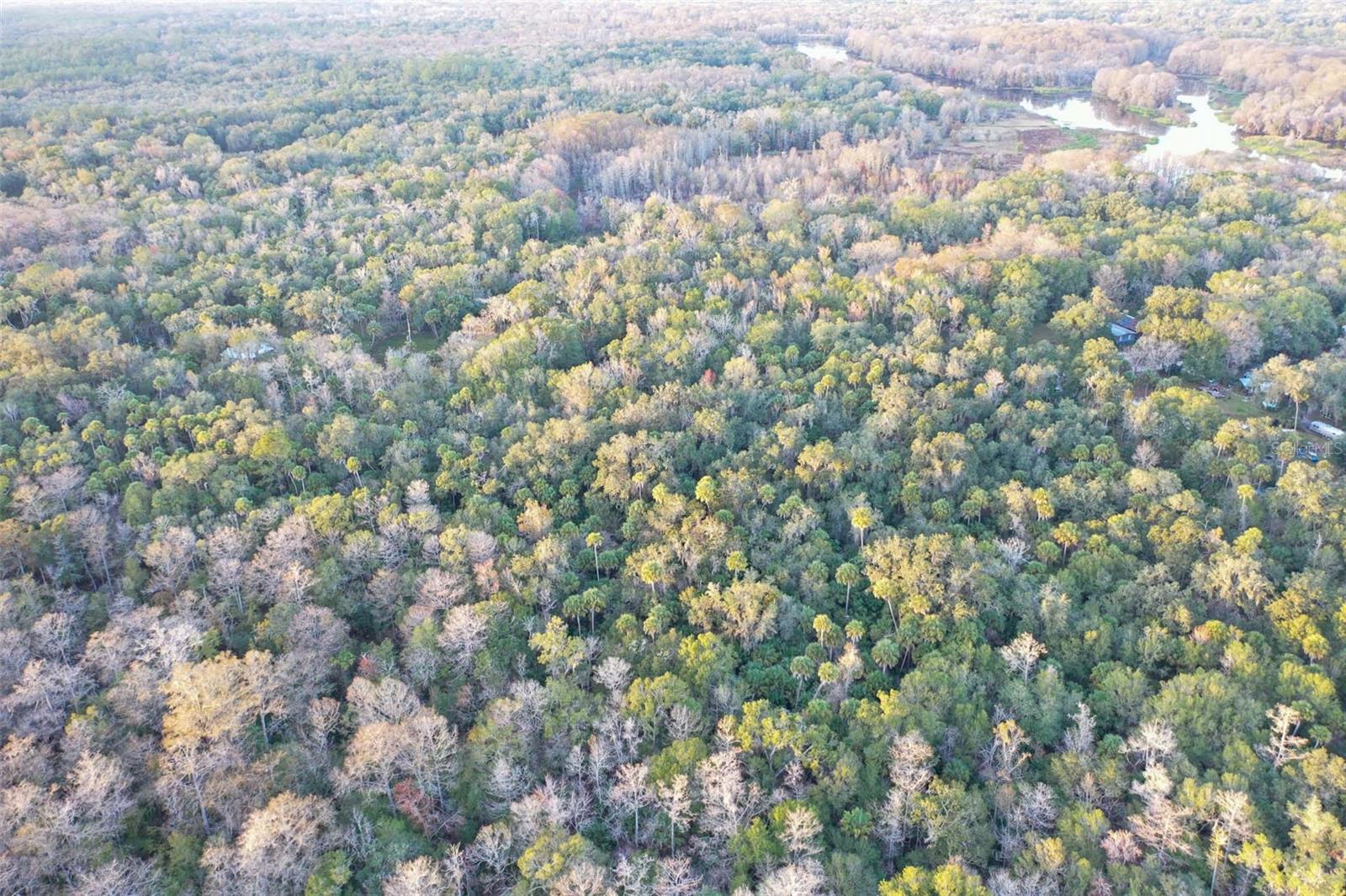 Image 19 of 24 For Address Not Provided