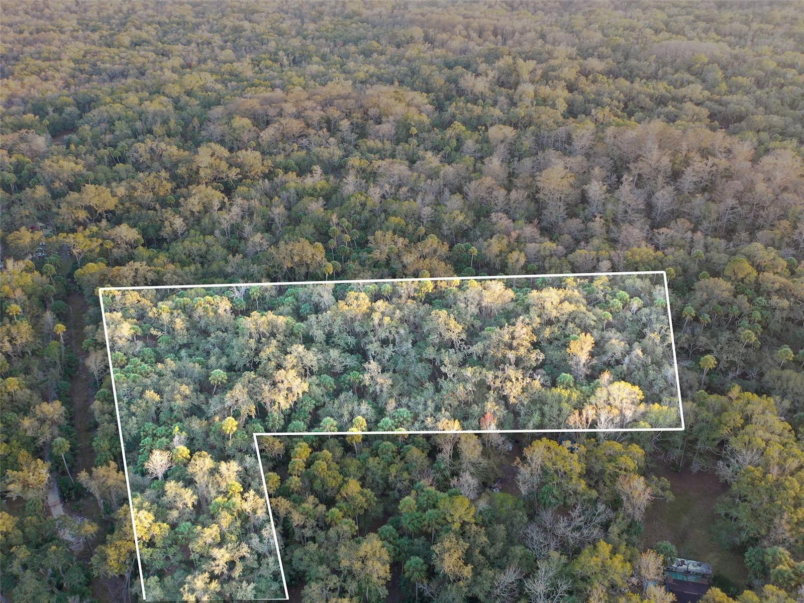 Image 2 of 24 For Address Not Provided