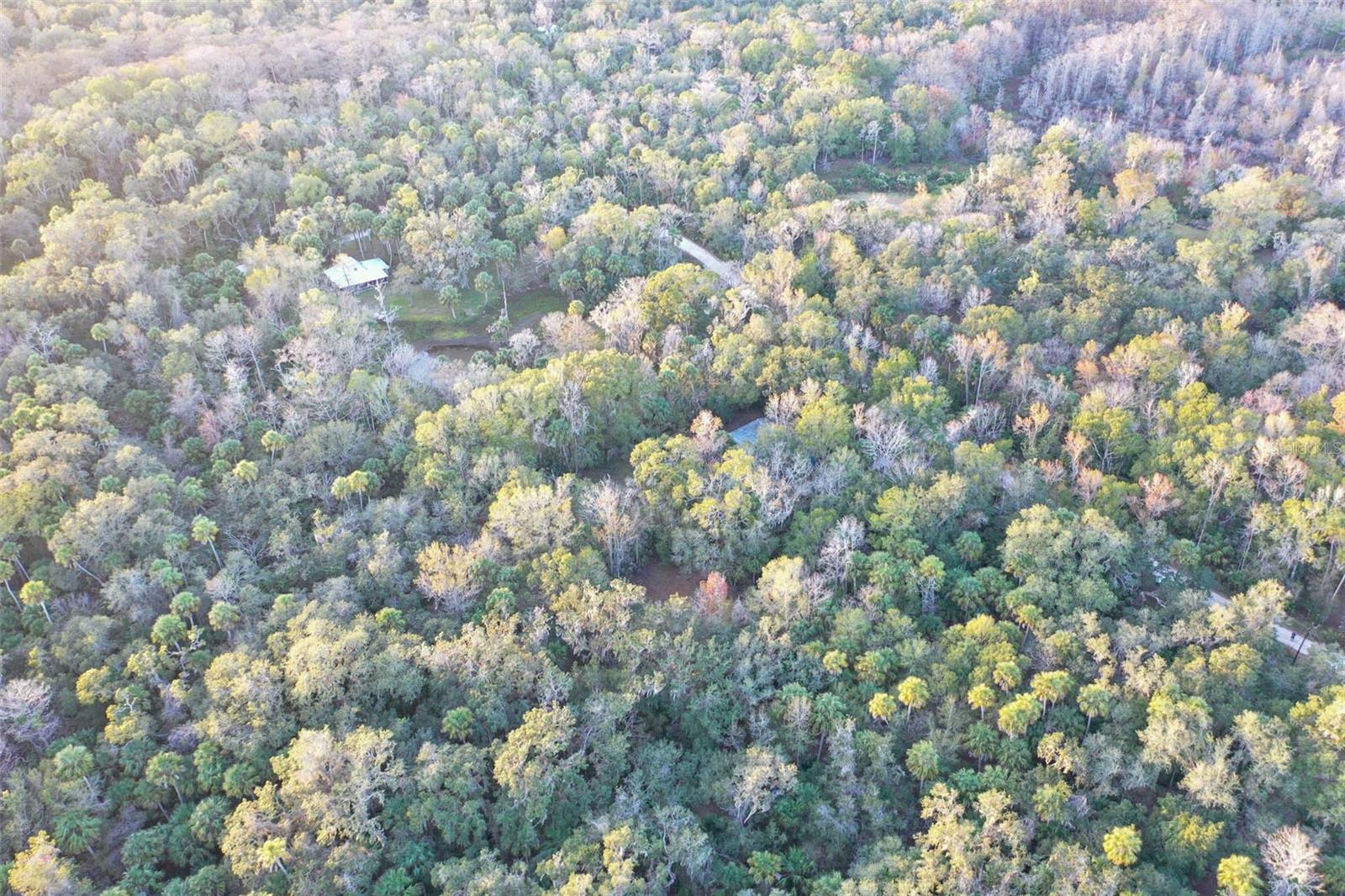 Image 20 of 24 For Address Not Provided