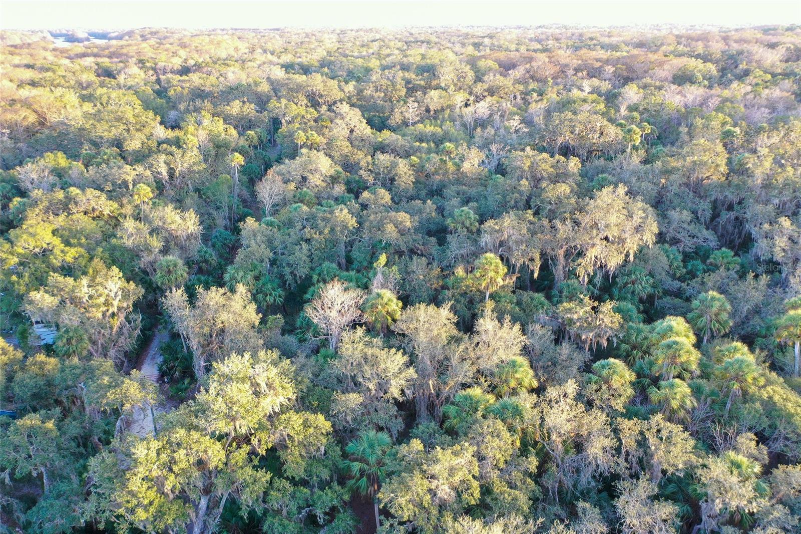 Image 22 of 24 For Address Not Provided