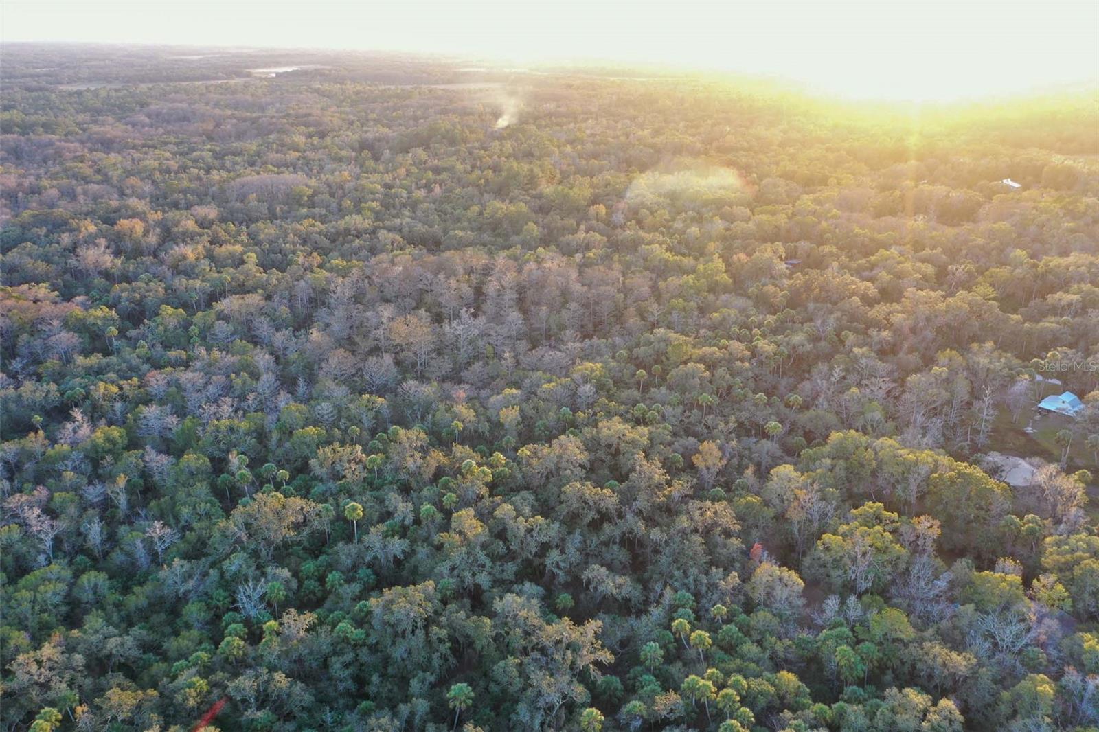 Image 8 of 24 For Address Not Provided