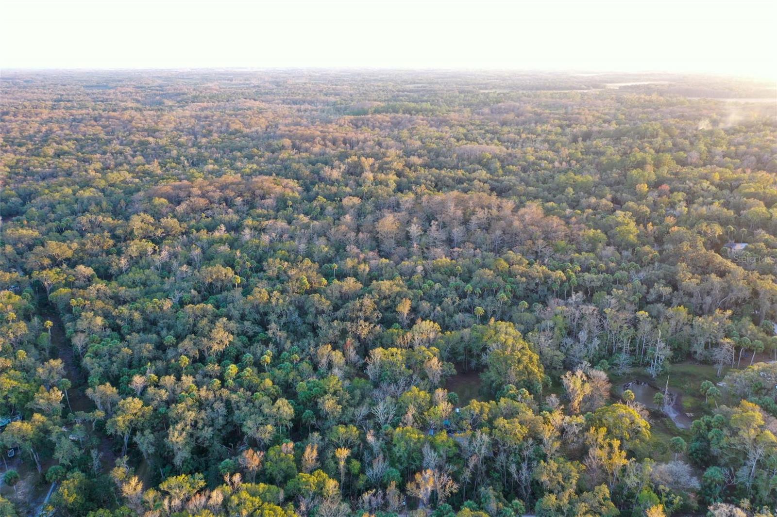 Image 9 of 24 For Address Not Provided