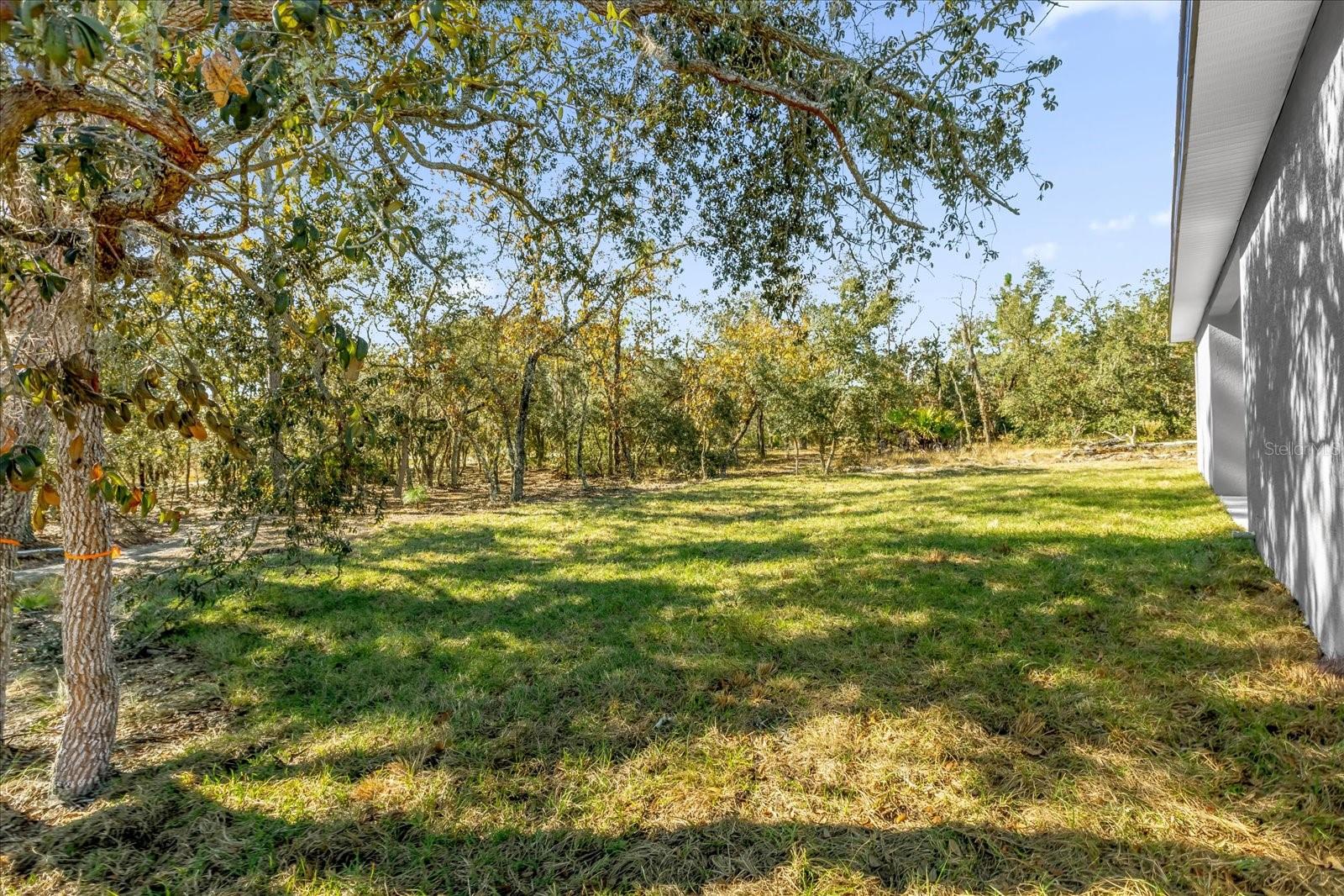 Listing photo id 28 for 1718 Manchester Drive