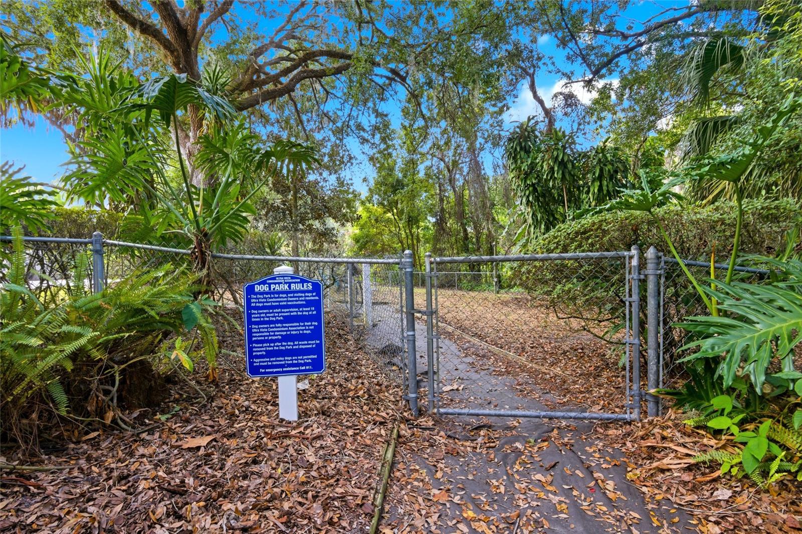 Image 40 of 41 For 551 Finchley Road 551