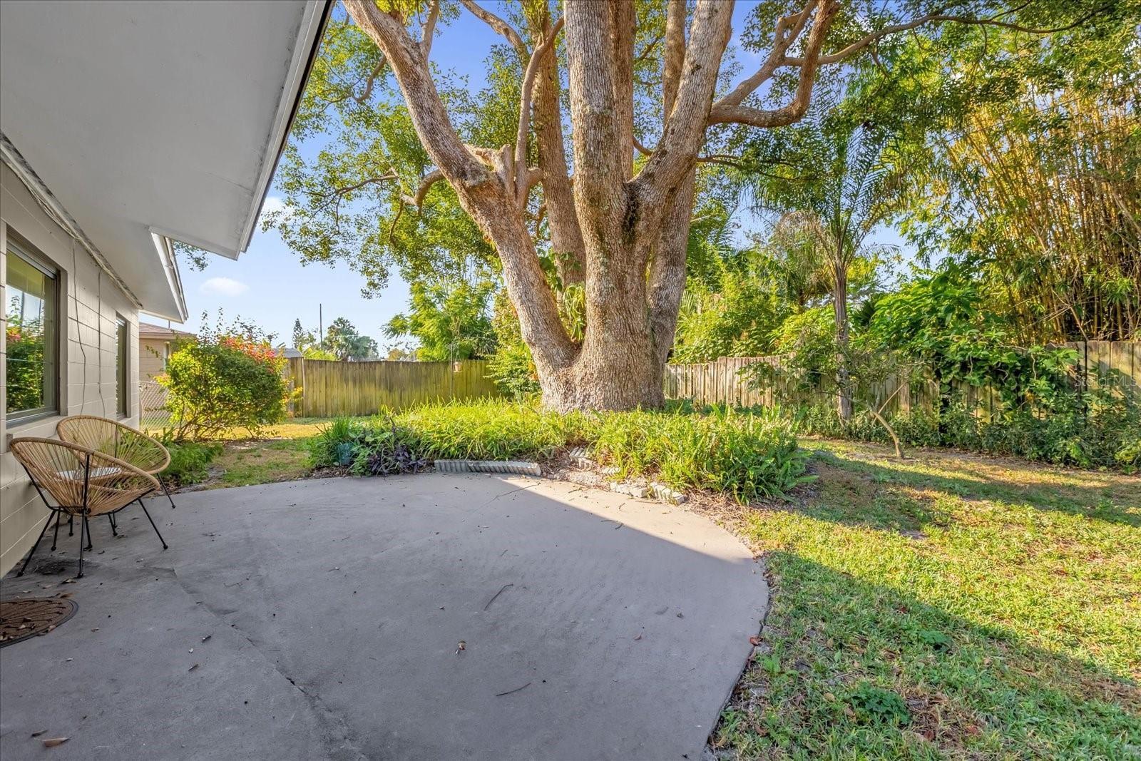 Image 29 of 33 For 806 Arlington Boulevard