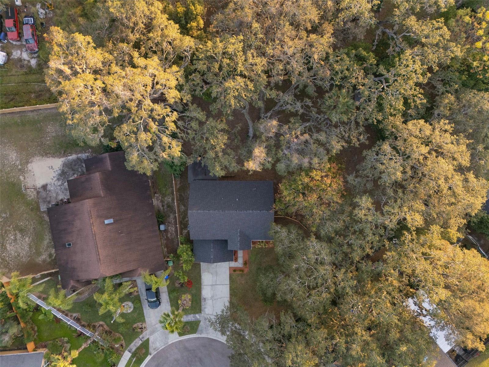 Image 36 of 39 For 6010 Mountel Court