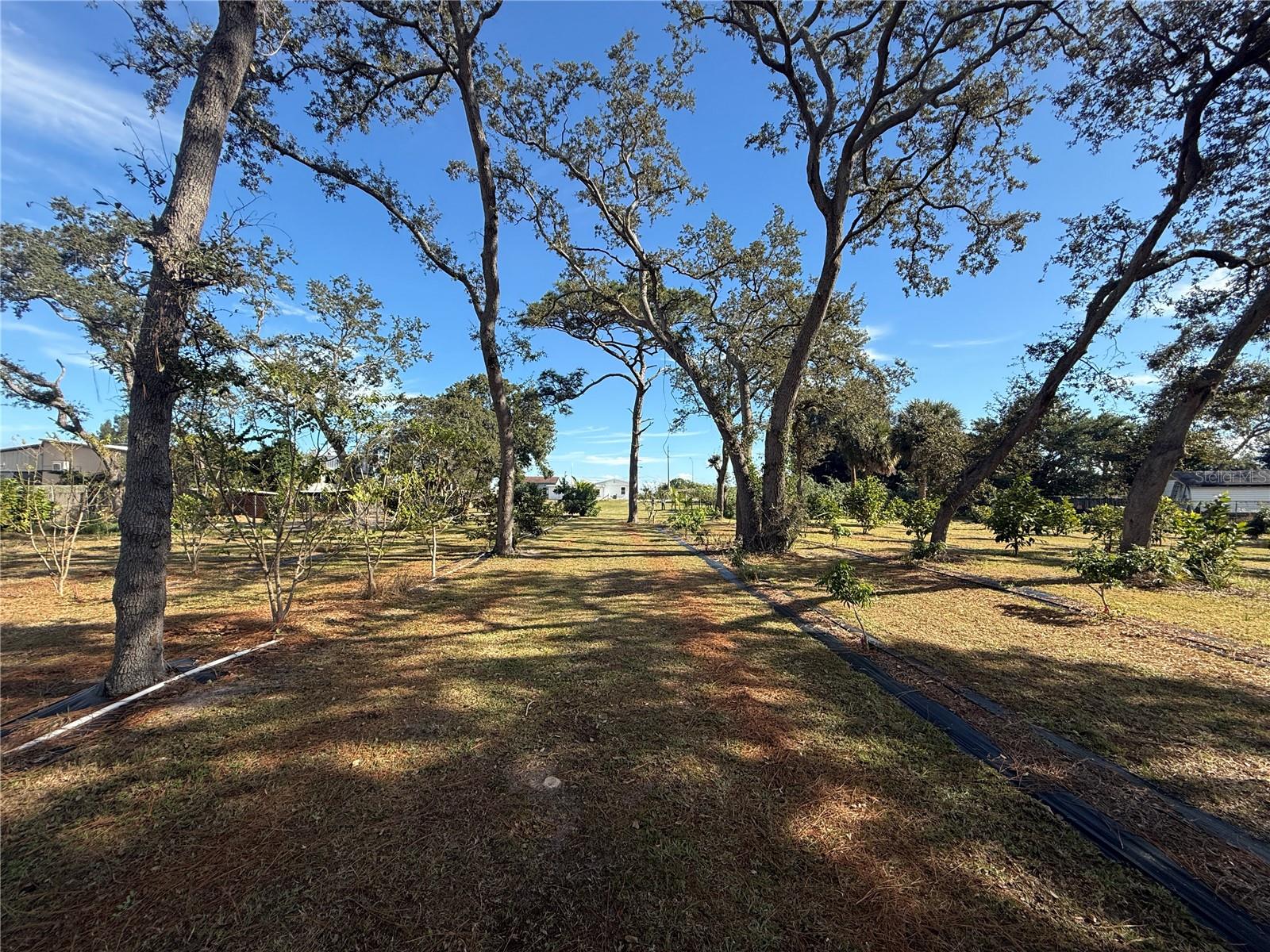 Image 38 of 47 For 4106 Us Highway 1