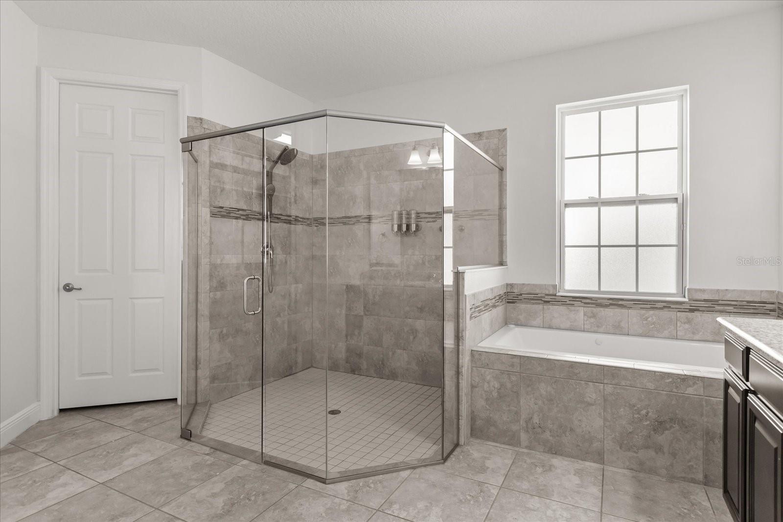 Image 50 of 62 For 14355 Black Lake Preserve Street