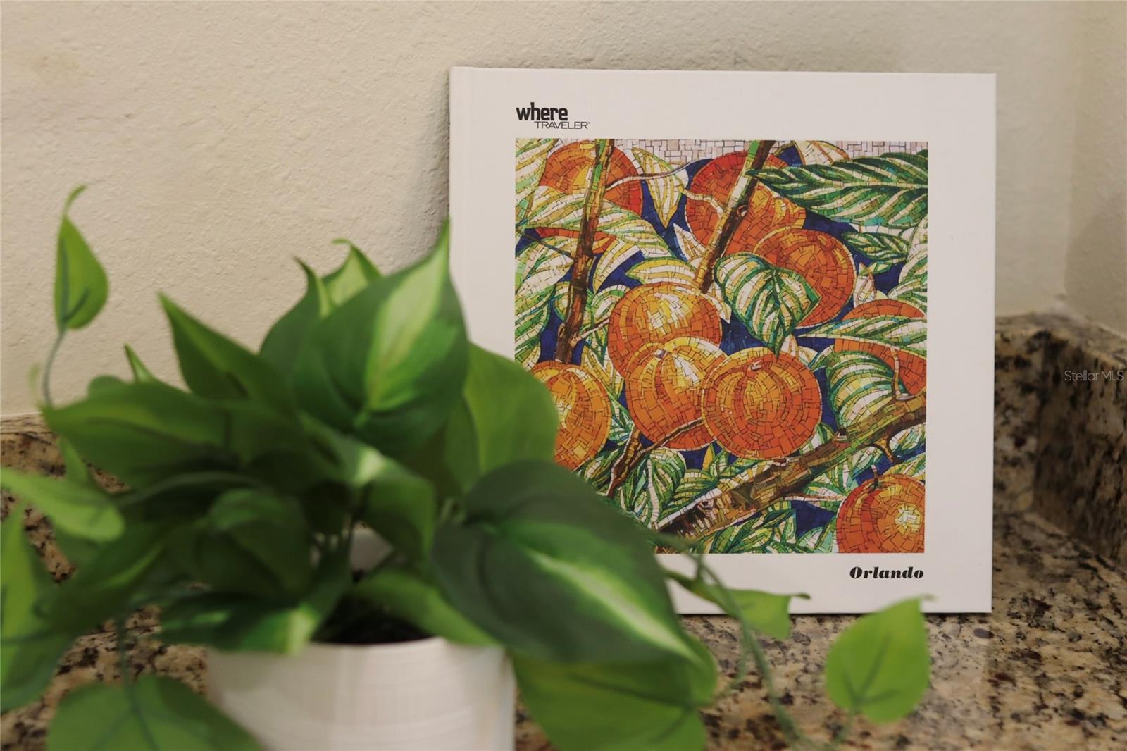 Image 77 of 81 For 751 Lasso Drive