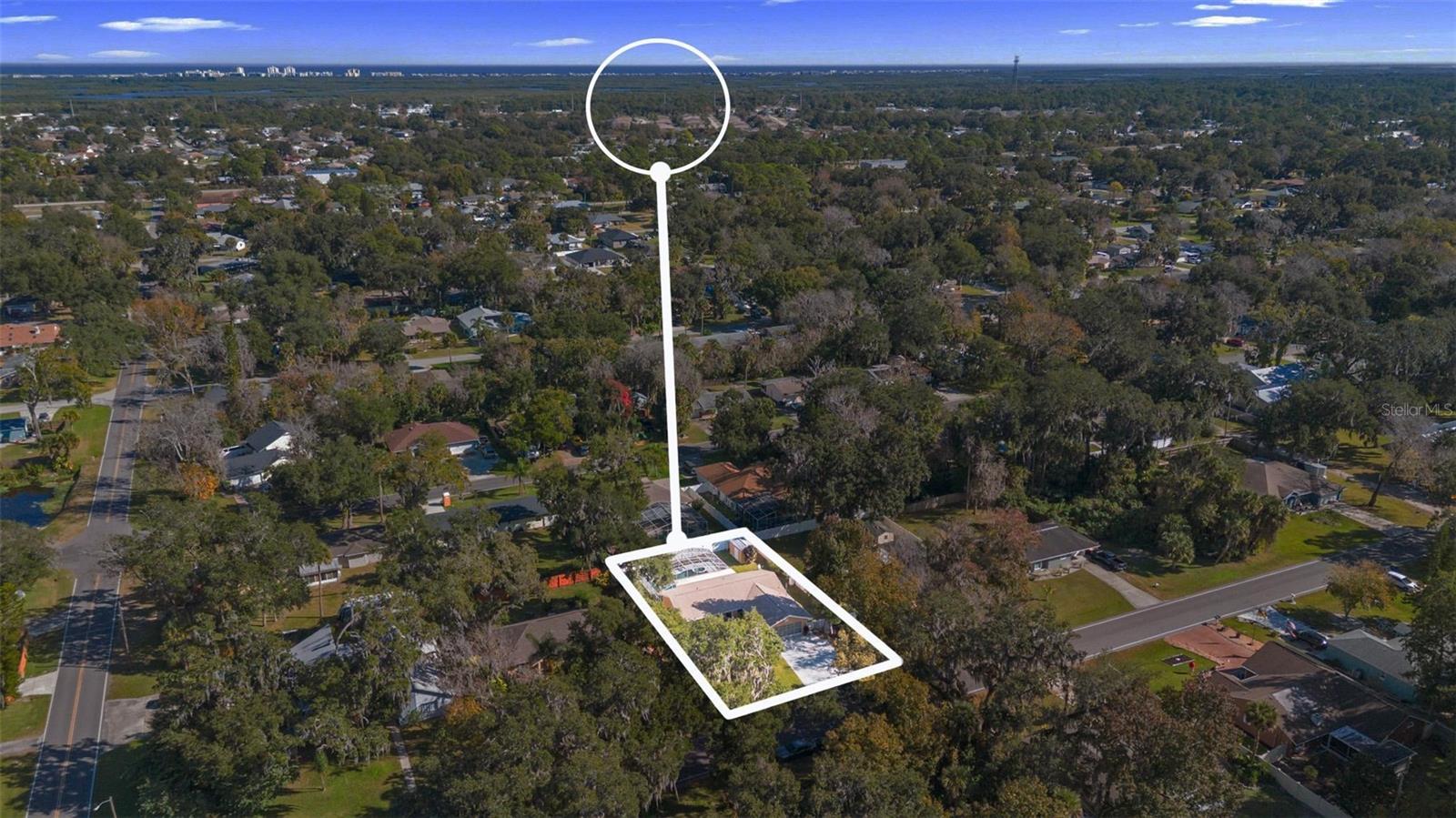 Image 32 of 39 For 2213 Needle Palm Drive