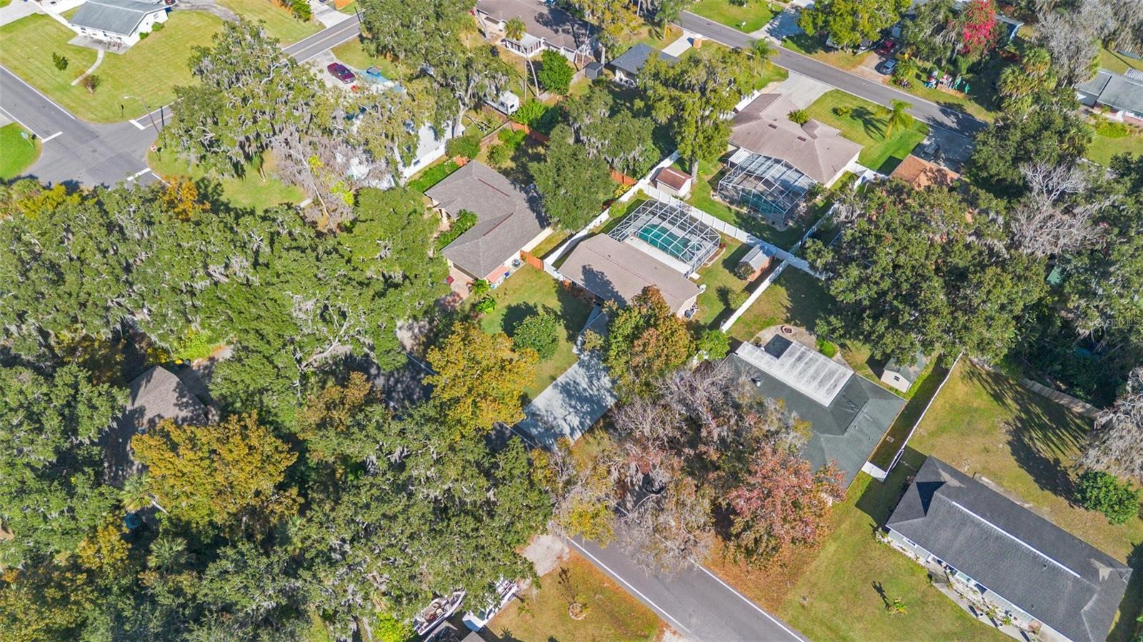 Image 34 of 39 For 2213 Needle Palm Drive