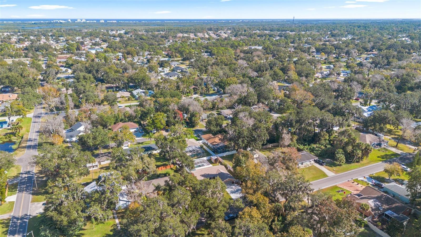 Image 37 of 39 For 2213 Needle Palm Drive