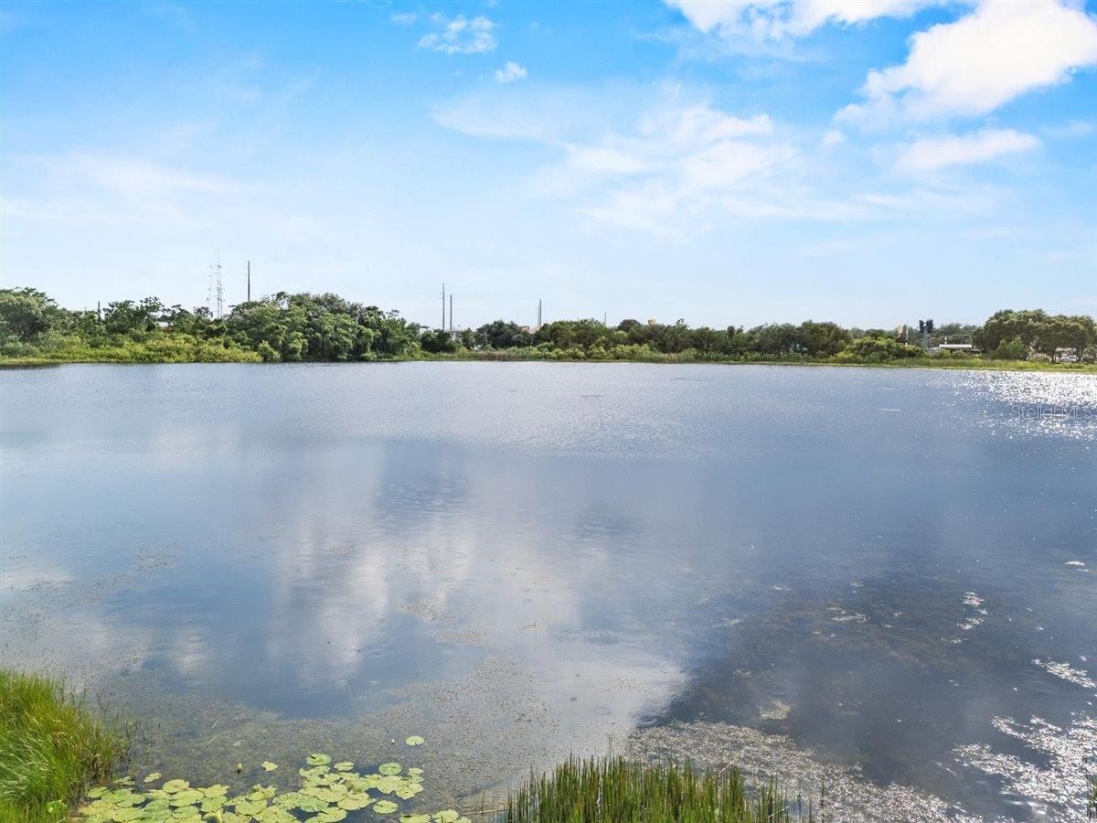 Image 44 of 45 For 8120 Gondola Drive