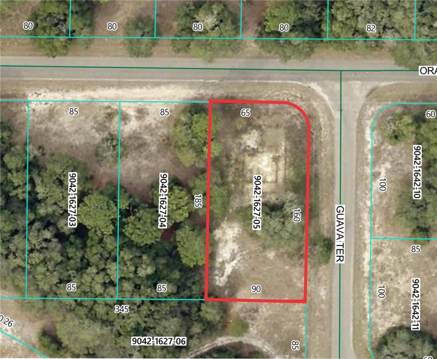Details for 11745 Orange Road, OCKLAWAHA, FL 32179