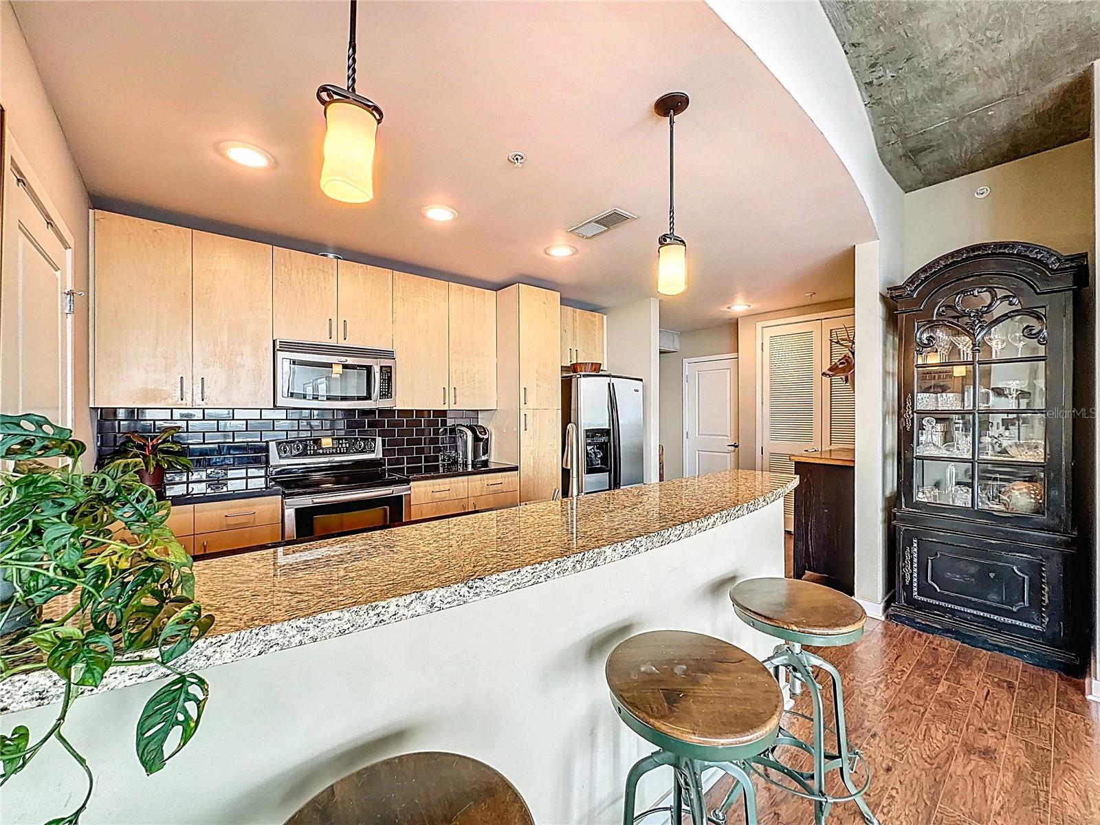 Image 13 of 36 For 155 Court Avenue 2502