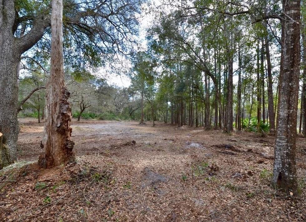 Image 11 of 24 For 3525 Michigan Street