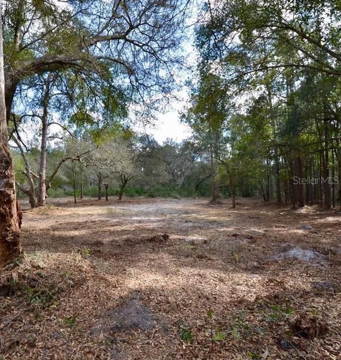 Image 12 of 24 For 3525 Michigan Street